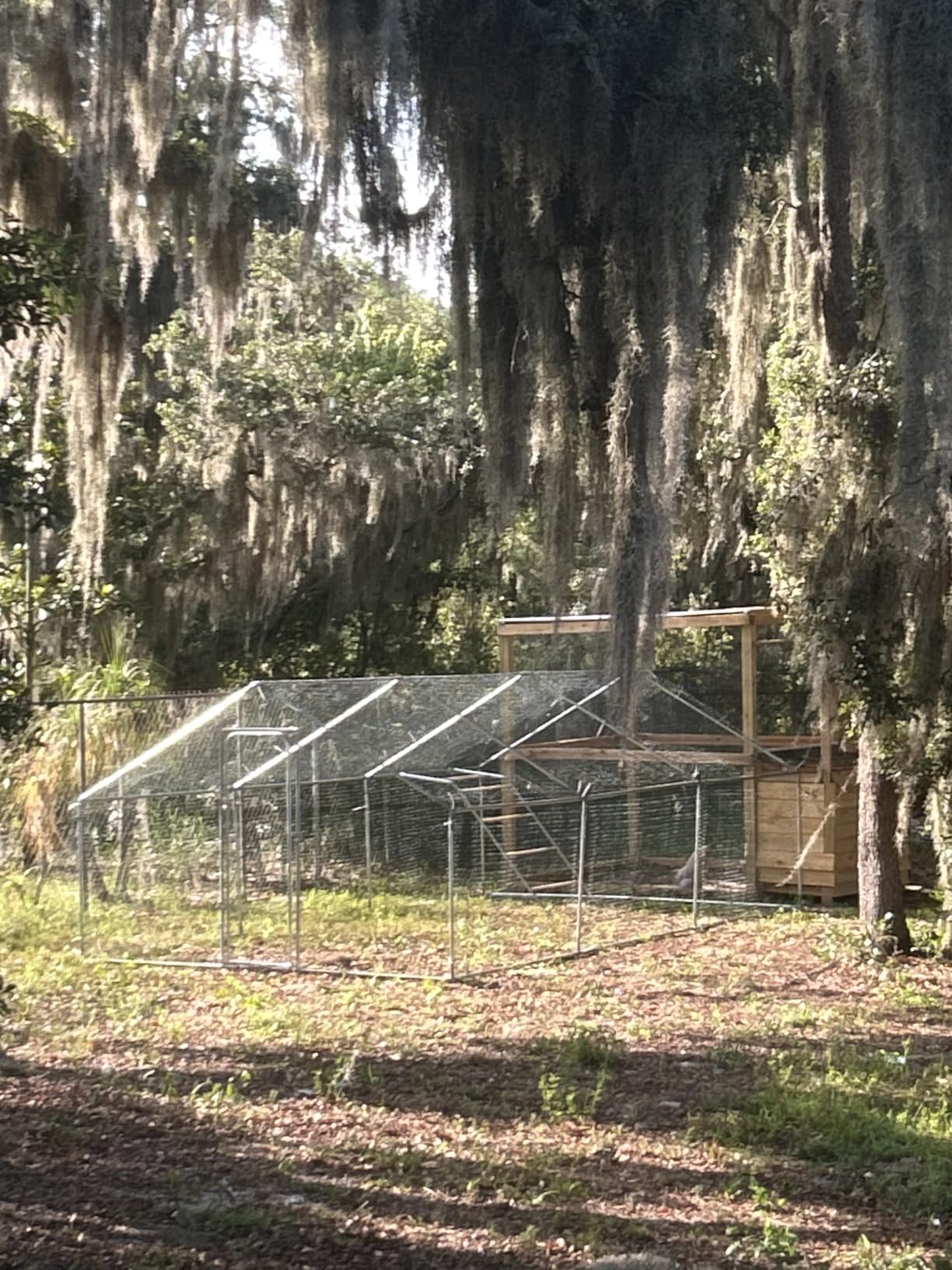 20x10 FT Extra Large Metal Chicken Coop, Walk-in Poultry Run Pen | Waterproof Cover, Reinforced Metal Structure, Walk-in Chicken Run, Outdoor Poultry Cage for Ducks Hens Rabbits customer photo 1