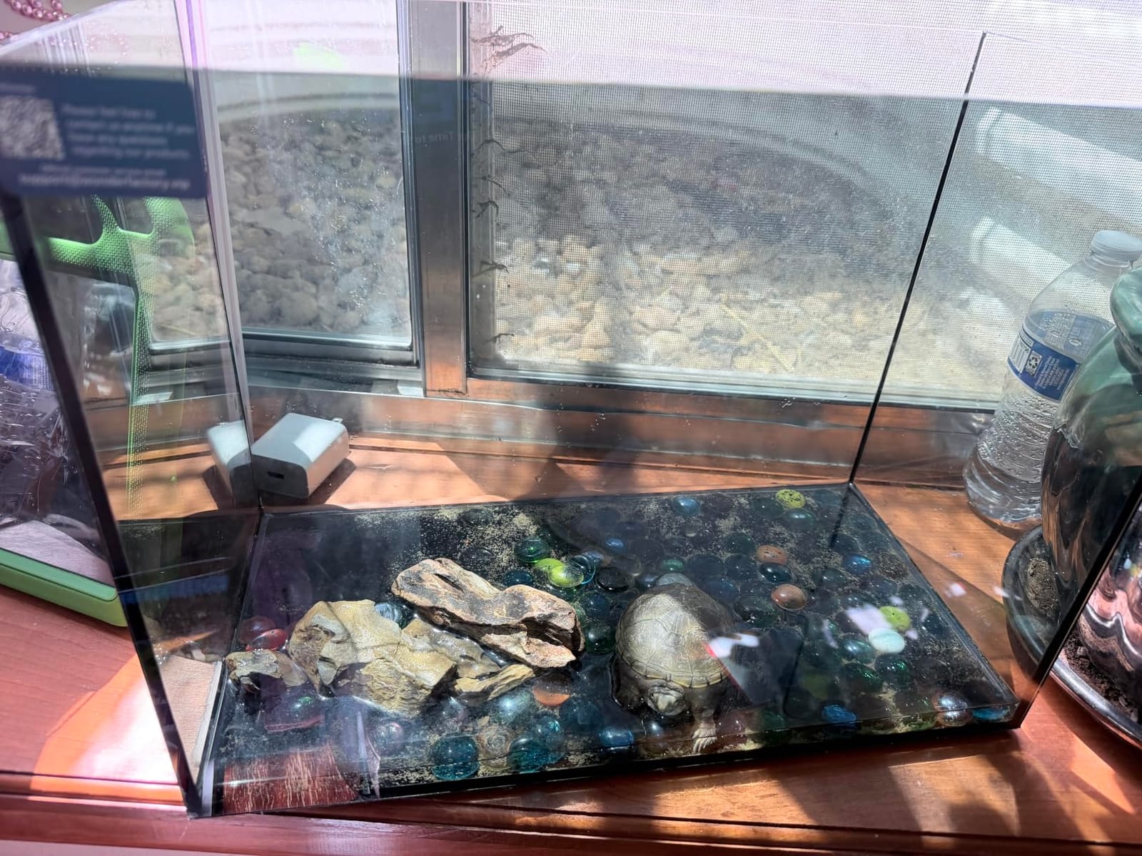 10 Gallon Aquarium Set Glass Fish Tank, Heater Self Cleaning System Filter with Media Bright Light Cleaning Tool, Leak-Proof Clear Rimless Betta Tropical Freshwater Fish customer photo 1