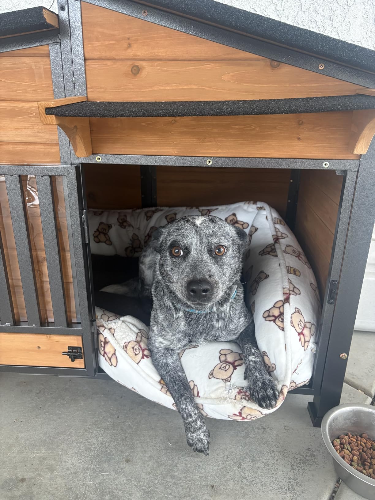 GUTINNEEN Extra Large Heated Dog House Insulated Dog Kennel Winter Shelter with Safe Thermostat-Controlled Heating Pad, Chew-Proof Metal Frame, 6-Sided Thermal Liner for Large Dog Breeds (Brown) customer photo 1