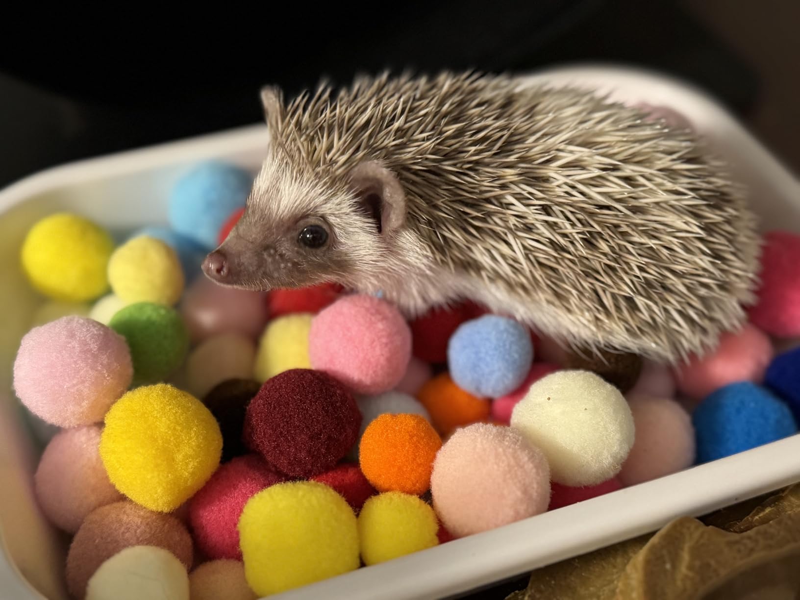 Hedgehog Dig Box Enrichment Cage Accessories, Funny Dig Box Toys with Ball Toy and Laundry Bag, Bell Toy for Hedgehogs Hamster Ferret Kitten Cat (Laundry Bags, 120 Ball) customer photo 1