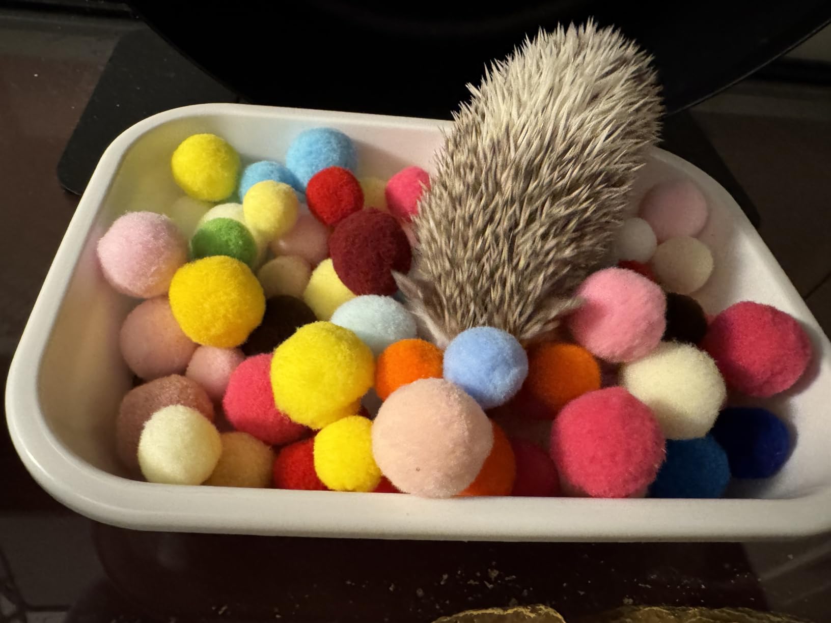 Hedgehog Dig Box Enrichment Cage Accessories, Funny Dig Box Toys with Ball Toy and Laundry Bag, Bell Toy for Hedgehogs Hamster Ferret Kitten Cat (Laundry Bags, 120 Ball) customer photo 2