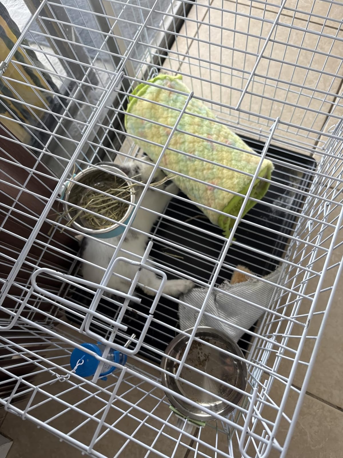 Small Animal Cage Indoor, Hamster Cage with Water Bottle & Food Bowl & Washable Small Nest, Guinea Pig Cage for Ferret, Chinchilla, Bunny, Kitten, Hedgehog, Squirrel, Rat, Rabbit customer photo 1