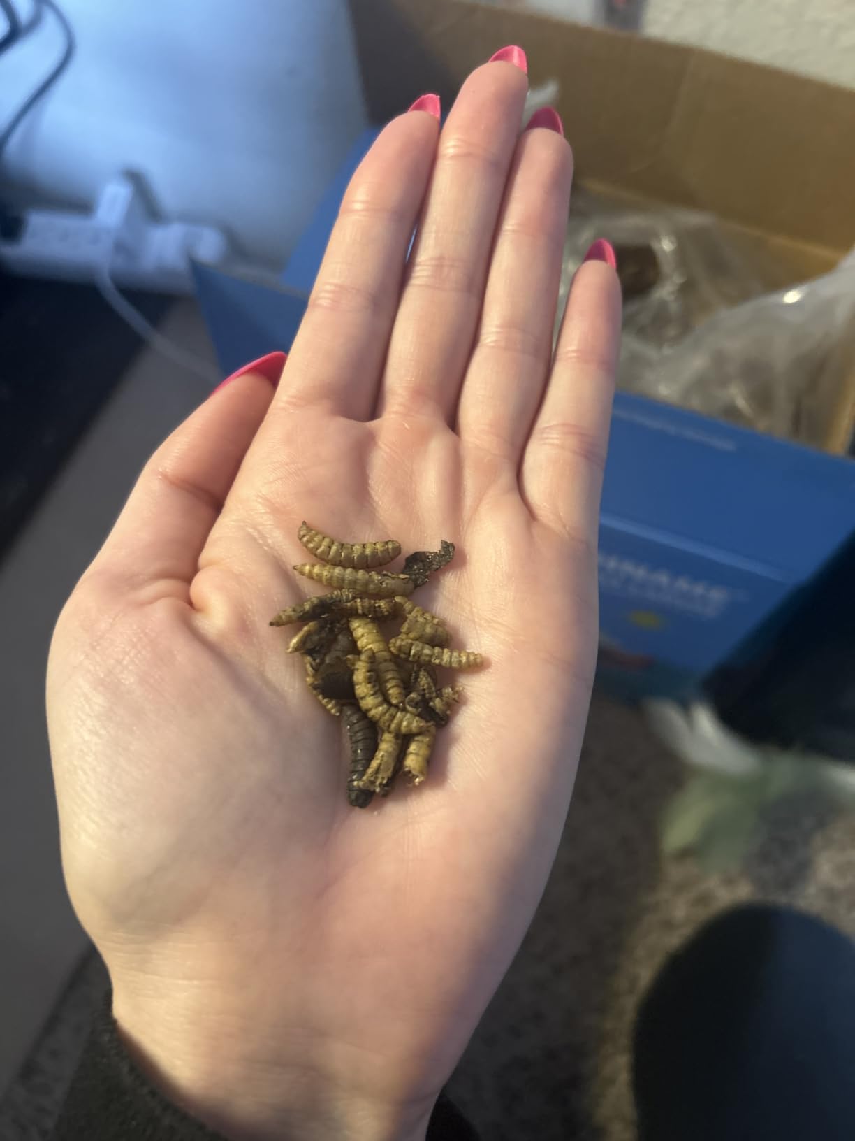 5LB Dried Black Soldier Fly Larvae for Chickens customer photo 2
