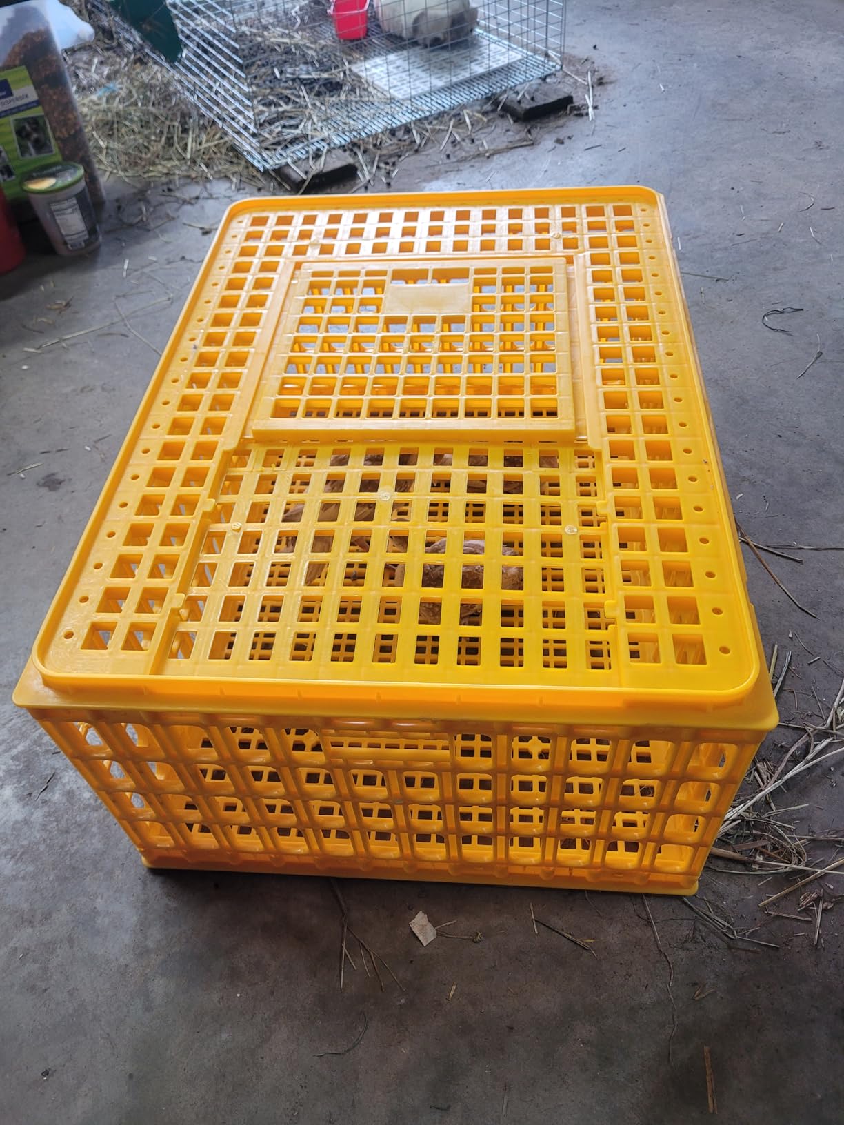 4 Pcs Poultry Carrier Crates, 29 x 21 x 13 in | Sturdy ventilated plastic transport boxes for chickens, ducks, geese, birds, farms, backyard coops, and hatcheries customer photo 1