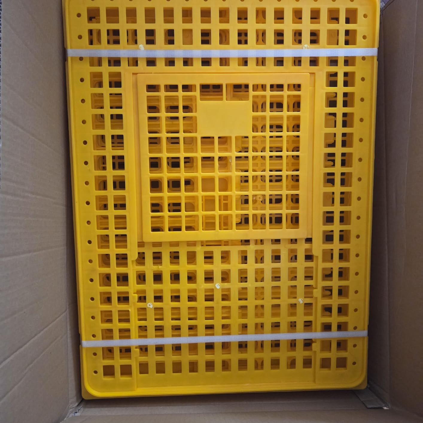 4 Pcs Poultry Carrier Crates, 29 x 21 x 13 in | Sturdy ventilated plastic transport boxes for chickens, ducks, geese, birds, farms, backyard coops, and hatcheries customer photo 2