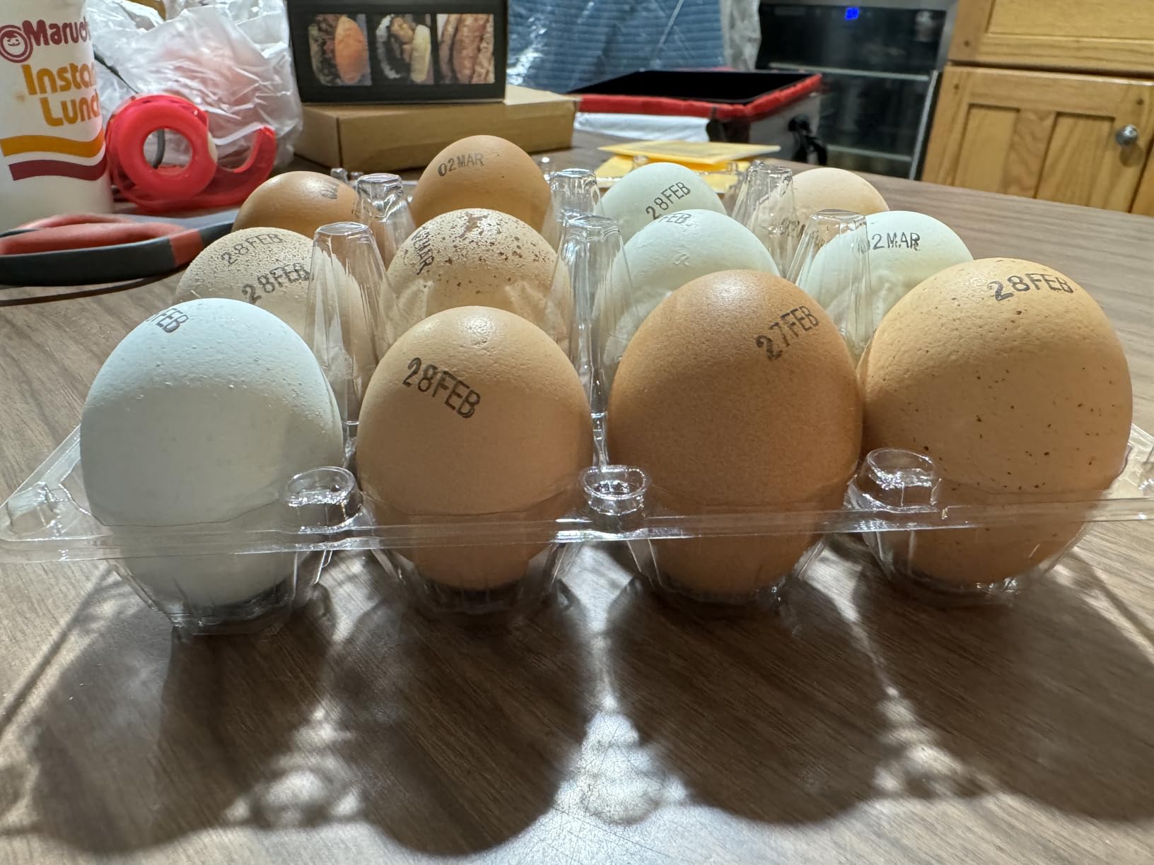 WIKDAY Plastic Egg Cartons 60 Pack 12 Count Cheap Bulk Clear | with Date Tracking Stickers Egg Care Instructions, Dozen Reusable Empty Egg Containers for Chicken Eggs Storage Farm Markets customer photo 1