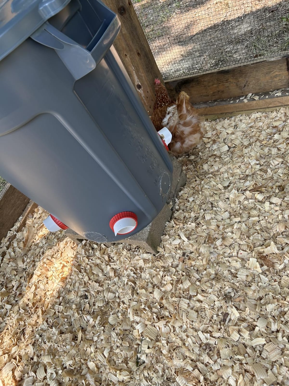 4PACK No Waste Chicken Feeder Ports, Chicken Feeder Cups for Bucket | DIY Chicken Feeder Kit with Hole Saw, Barrels, Bins, Troughs customer photo 1