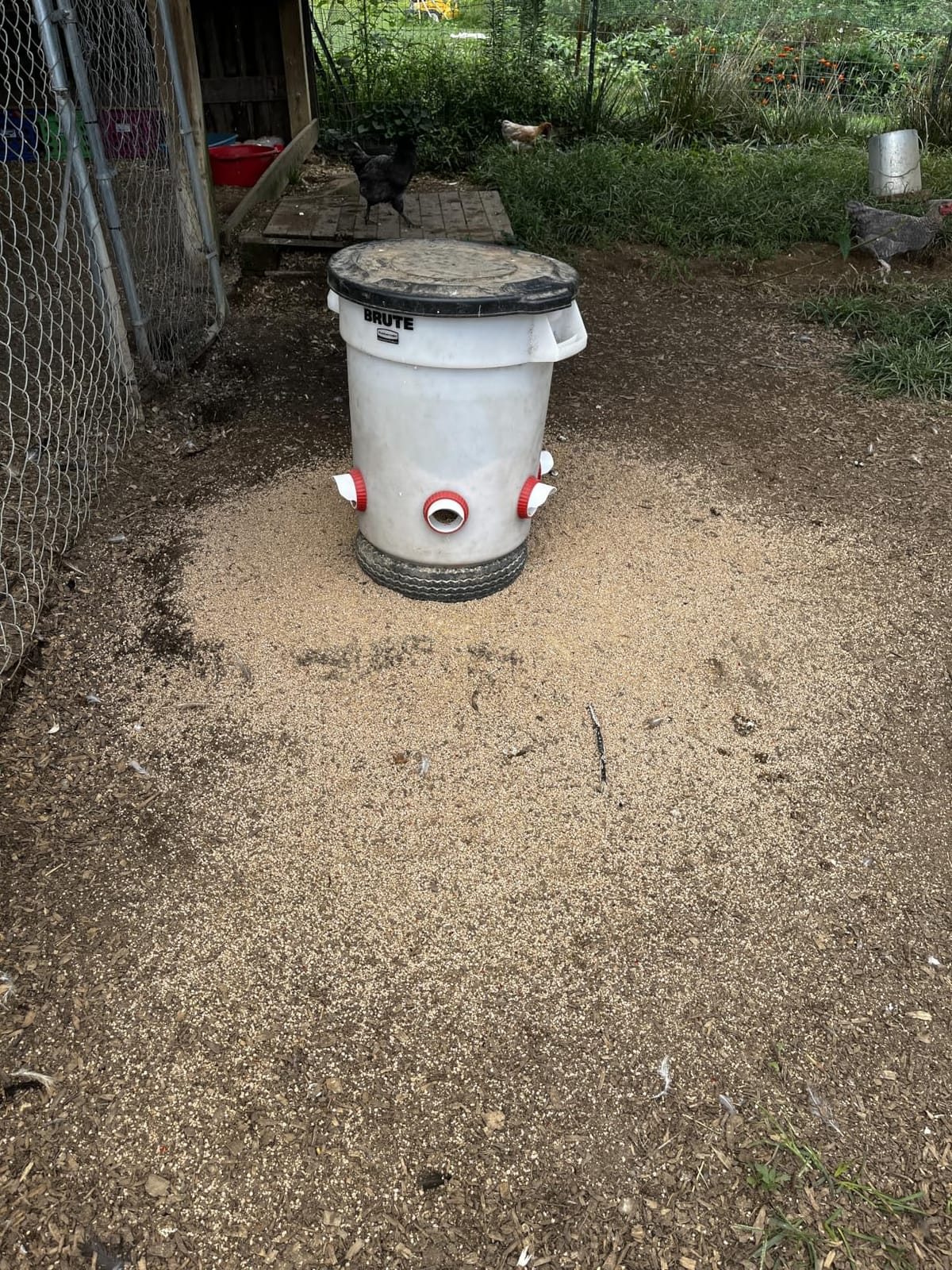 4PACK No Waste Chicken Feeder Ports, Chicken Feeder Cups for Bucket | DIY Chicken Feeder Kit with Hole Saw, Barrels, Bins, Troughs customer photo 2