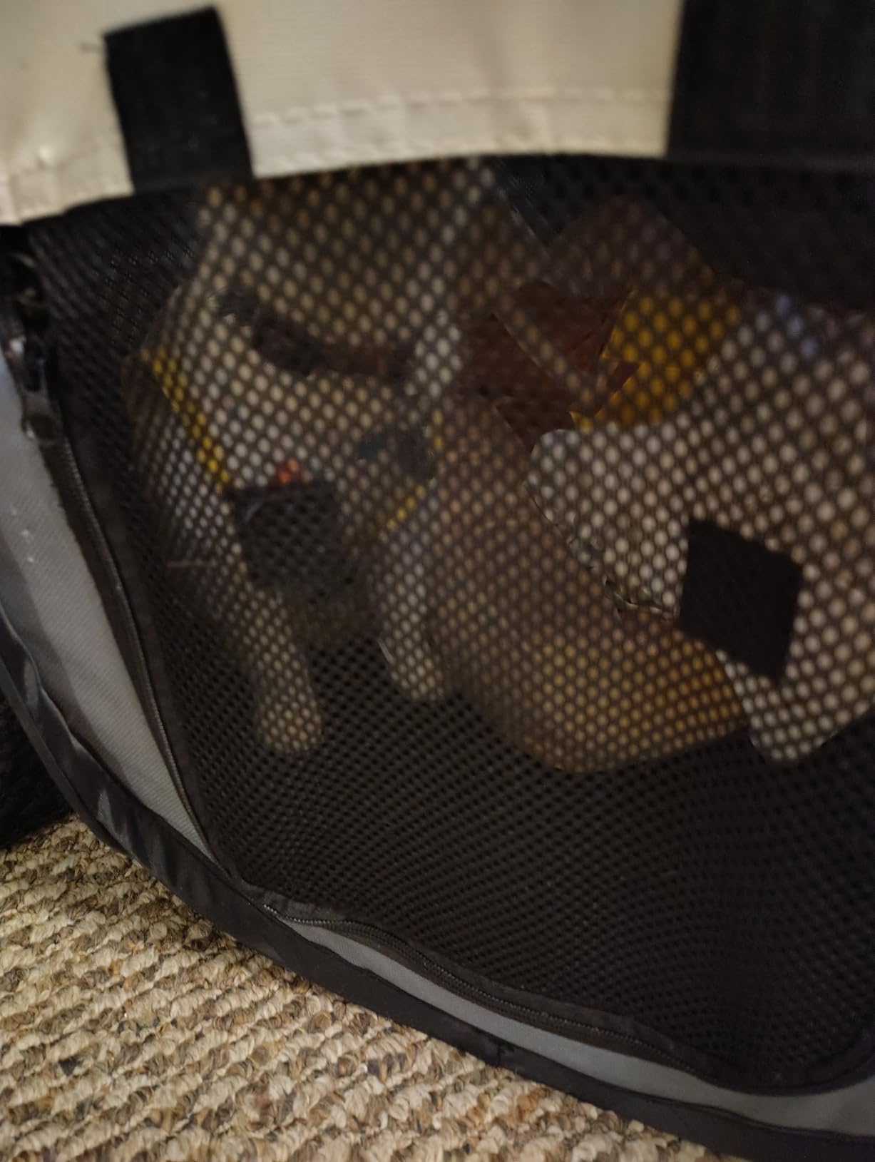 Dog Playpen, Portable Cat Playpen Crate Indoor for Dogs Cats Rabbits, Foldable Small Animal Guinea Pigs Bunny Cage Enclosure for Outdoor, Pop Up Dogs Cats Tent Kennel with Carrying Case, Grey customer photo 2