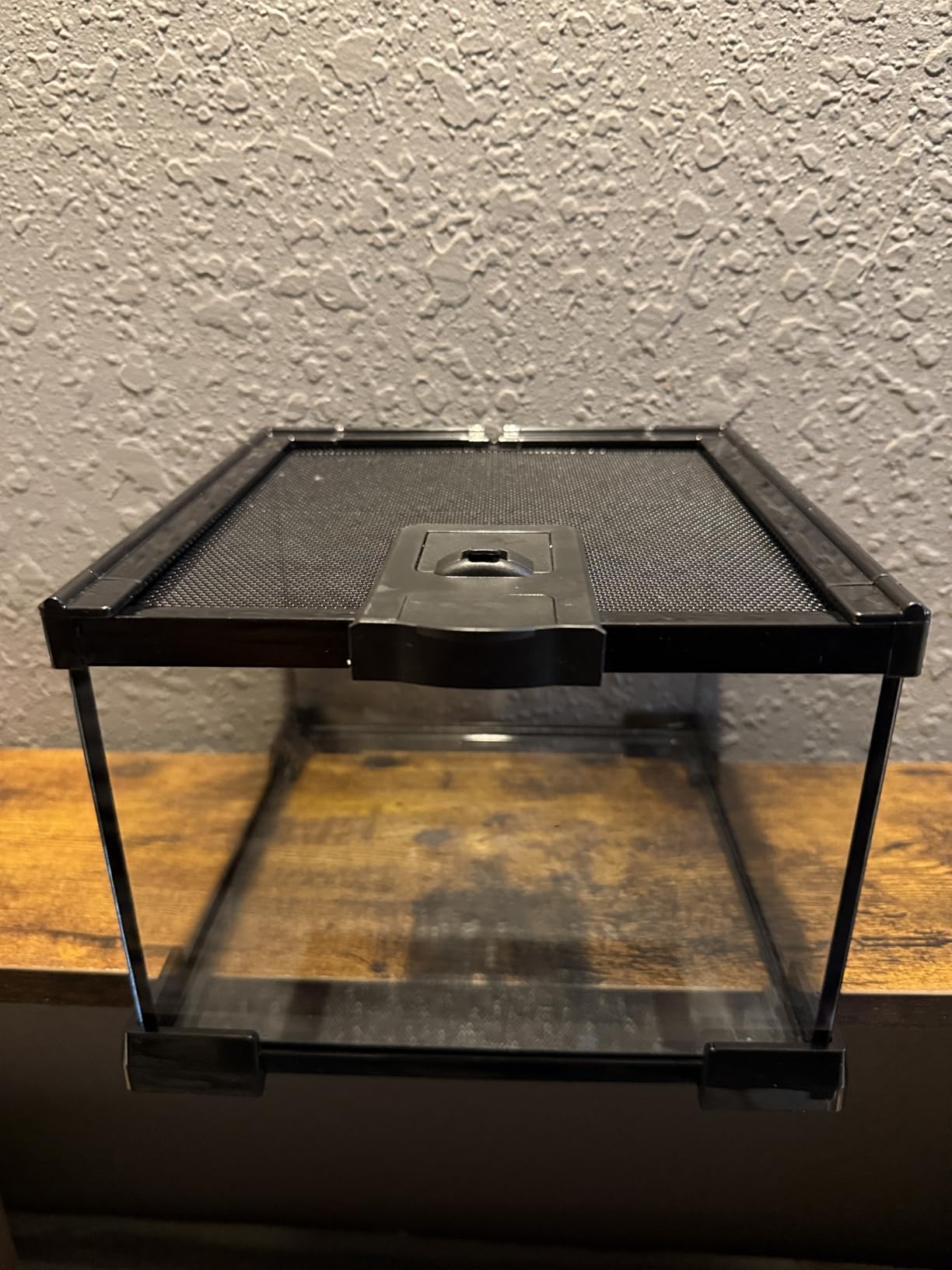 Small Glass Reptile Enclosure: 8x8x6 Full View Tarantula Enclosure | Lockable Sliding Screen Top Glass Terrarium - Insects Breeding Box Small Amphibians Cage for Leopard Gecko Hermit Crab customer photo 1