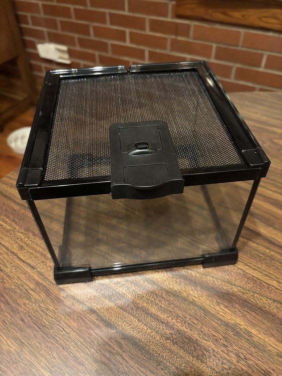Small Glass Reptile Enclosure: 8x8x6 Full View Tarantula Enclosure | Lockable Sliding Screen Top Glass Terrarium - Insects Breeding Box Small Amphibians Cage for Leopard Gecko Hermit Crab customer photo 2