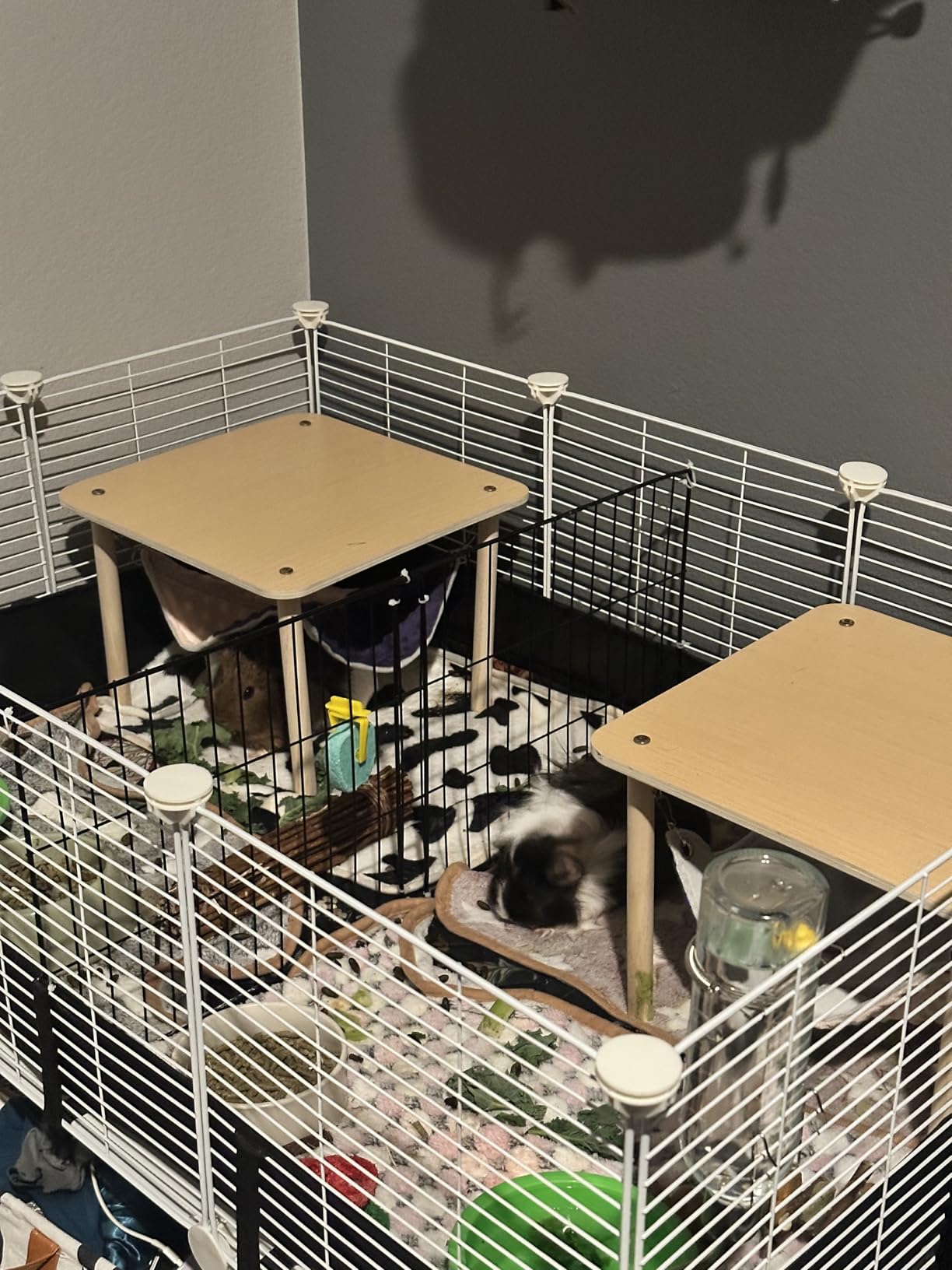MEEXPAWS Guinea Pig Cages Small Animal Playpen Large 42