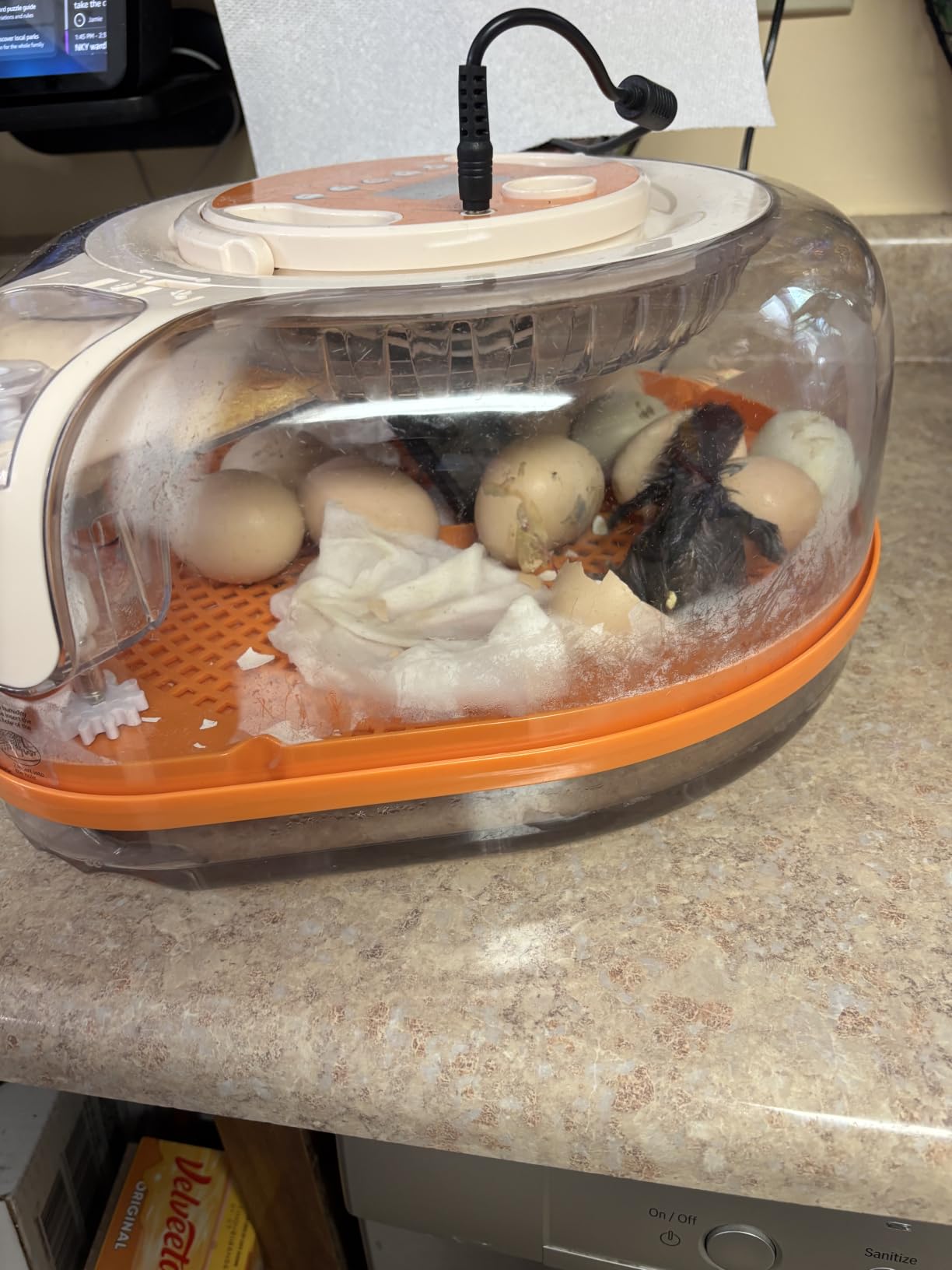26 Incubators for Hatching Eggs Smart Voice Control Incubator with Auto Temp Humidity Automatic Egg Turning 360° View Built in Egg Candler and Chick Holding Area for Chicken Duck Goose Quail Eggs customer photo 1