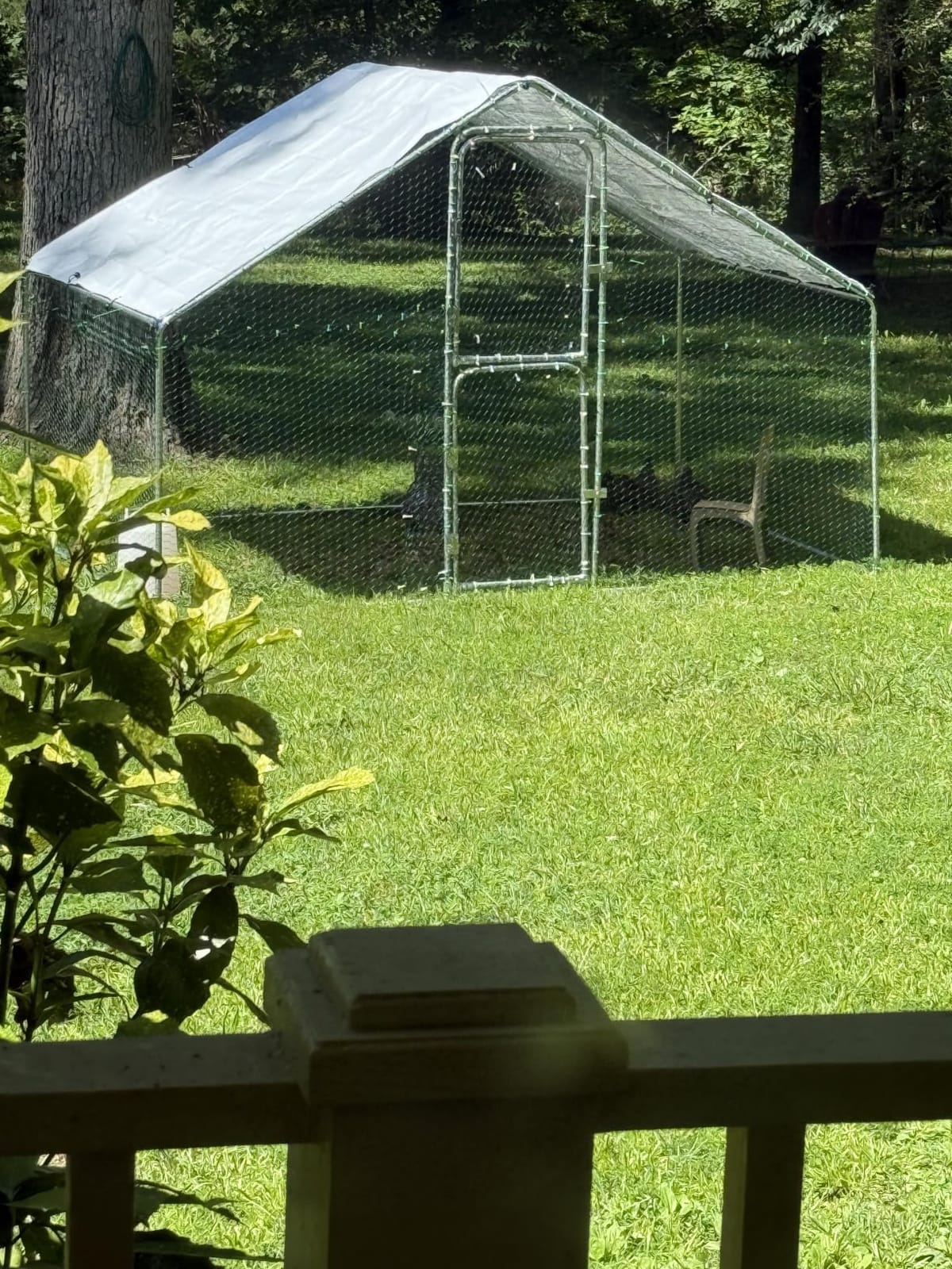 UDPATIO Large Metal Chicken Coop Walk in Run House Pen Galvanized Frame | Double Feed Door UV-Resistant Cover Outdoor Cage for Bird Duck Rabbit Hen 6-10 customer photo 1