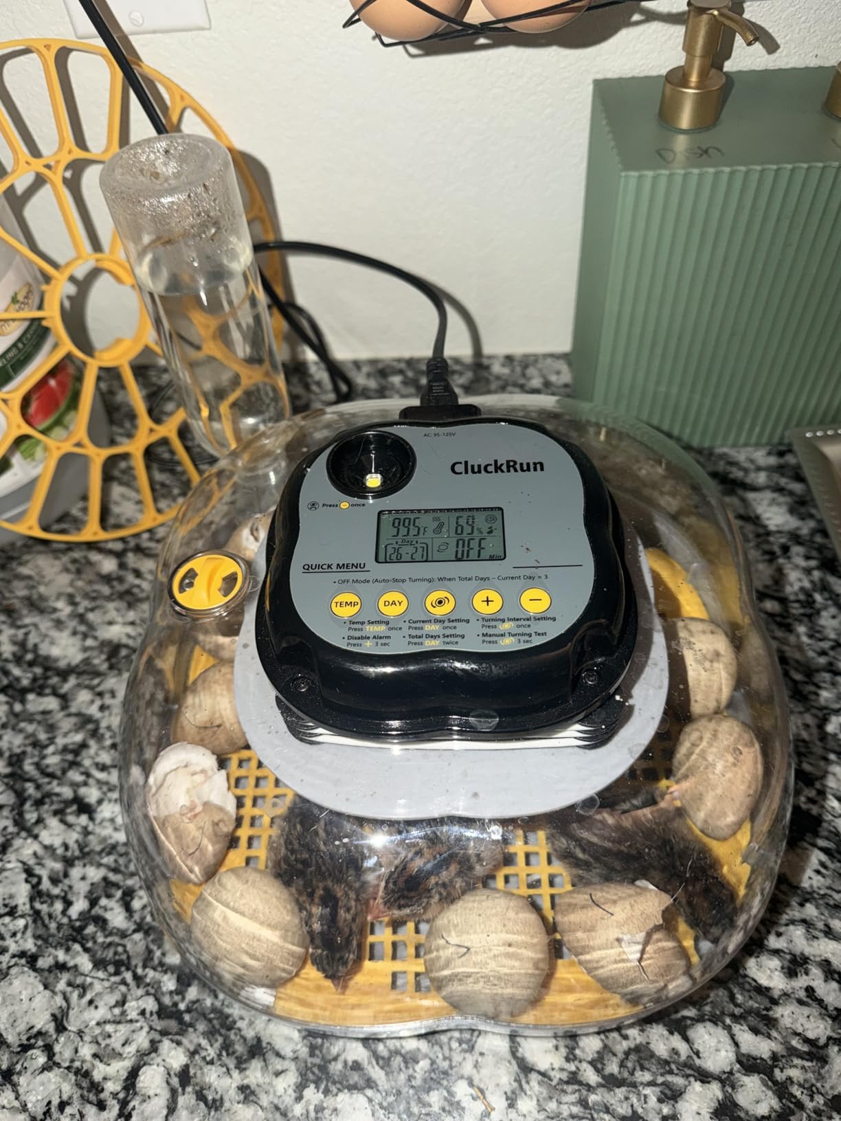 Chicken & Quail Egg Incubator, 12 Egg Incubators for Hatching Eggs, Two Egg Trays, Automatic Egg Turning with Auto Stop, Incubation Day & Period, Auto Refill, Egg Candler, Air Vent, 360 Degree Clear View customer photo 2