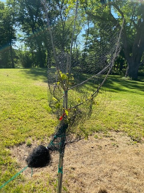25x100 FT Heavy Duty Bird Netting for Chicken Coop & Garden | HDPE Poultry Netting Fence 1 Inch Diamond Mesh, Fruit Tree Vegetable Protection from Birds Deer Squirrels customer photo 2
