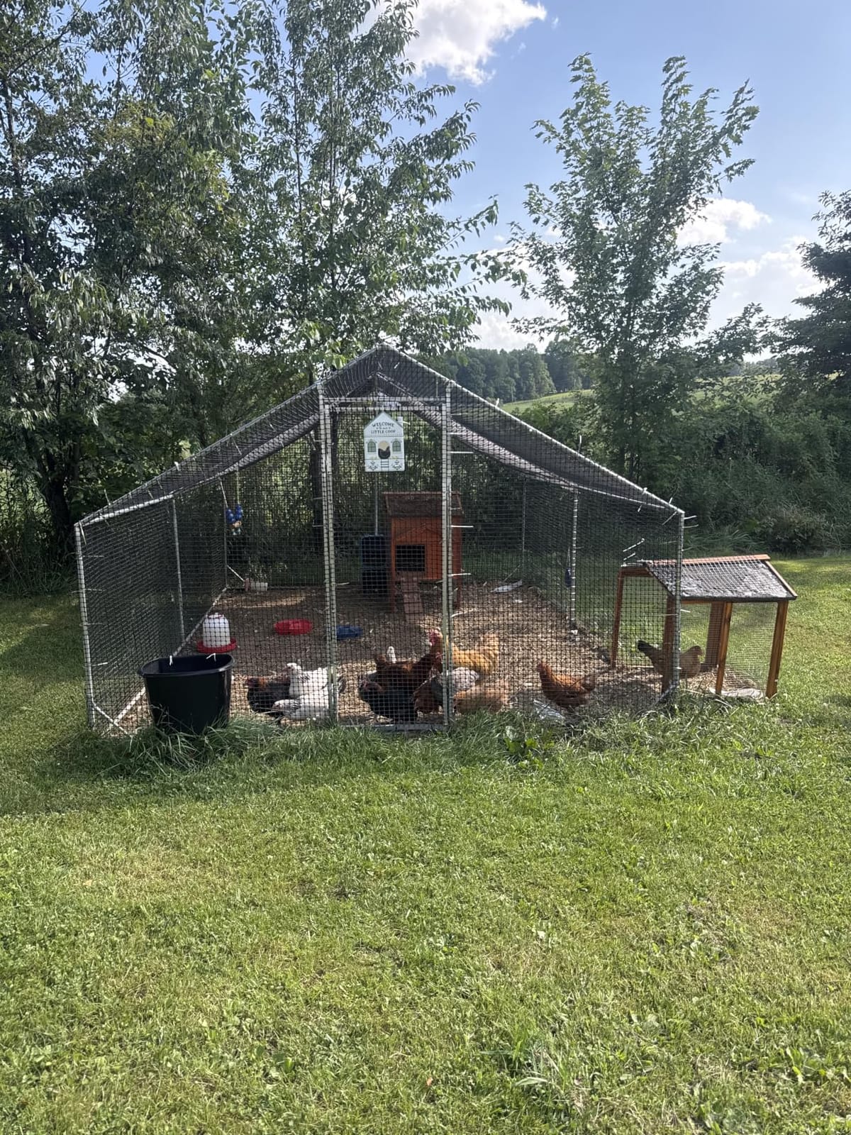CAMMOO Metal Chicken Coop, 19.7x9.8x6.6ft Chicken Run for Yard with Cover | Upgrade Double Lock & Tough Mesh, Stainless Steel Ties, Easy Assembly, Chicken Pen for Ducks, Rabbits customer photo 1