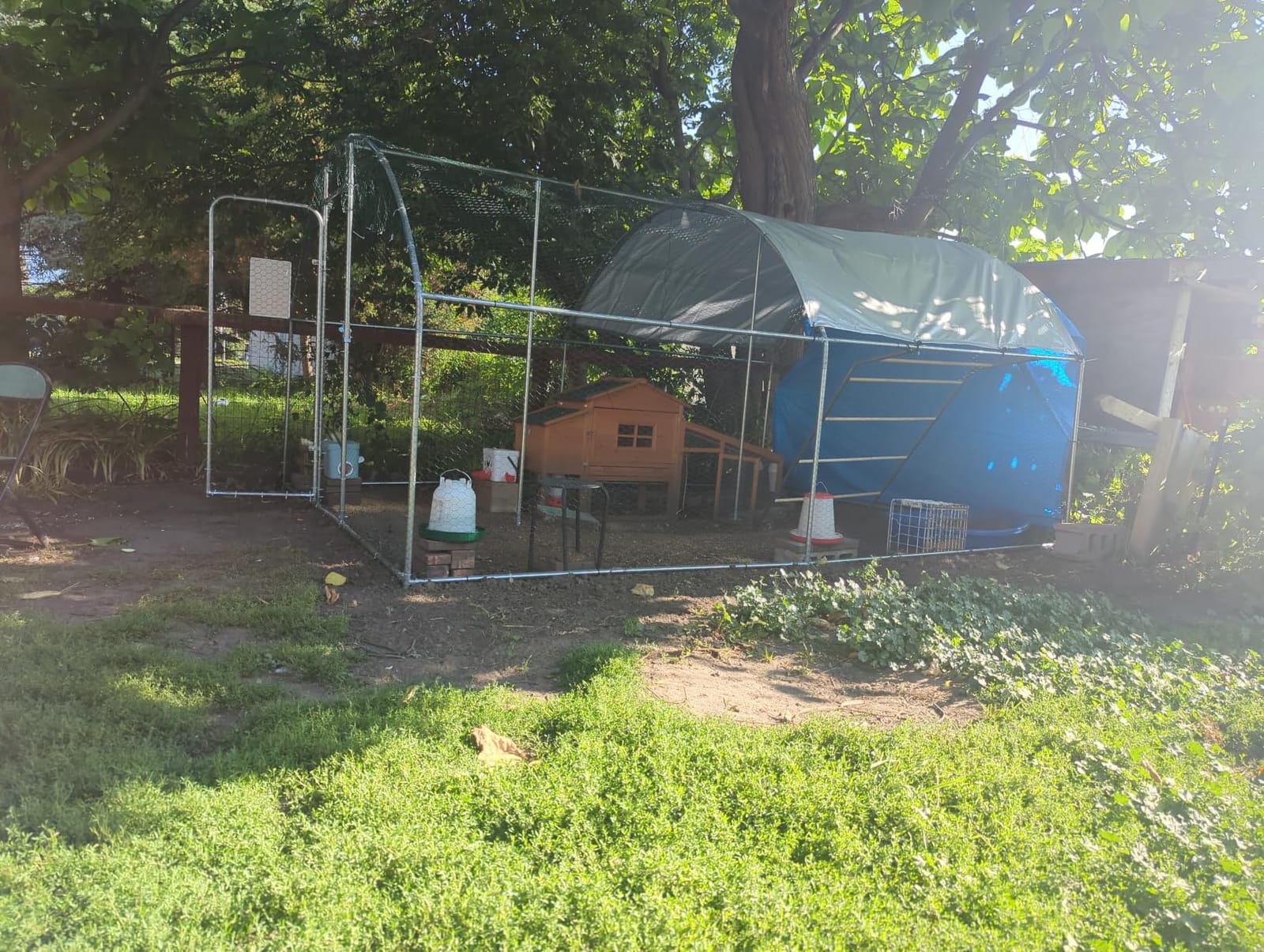 Extra Large Metal Chicken Run, Heavy-Duty Chicken Coop for Yard with Cover | 26.2 x 9.7 x 6.4 FT Outdoor Walk-in Chicken Run Enclosure for 35-40 Chickens, Outside Duck House & Rabbit Cage customer photo 2