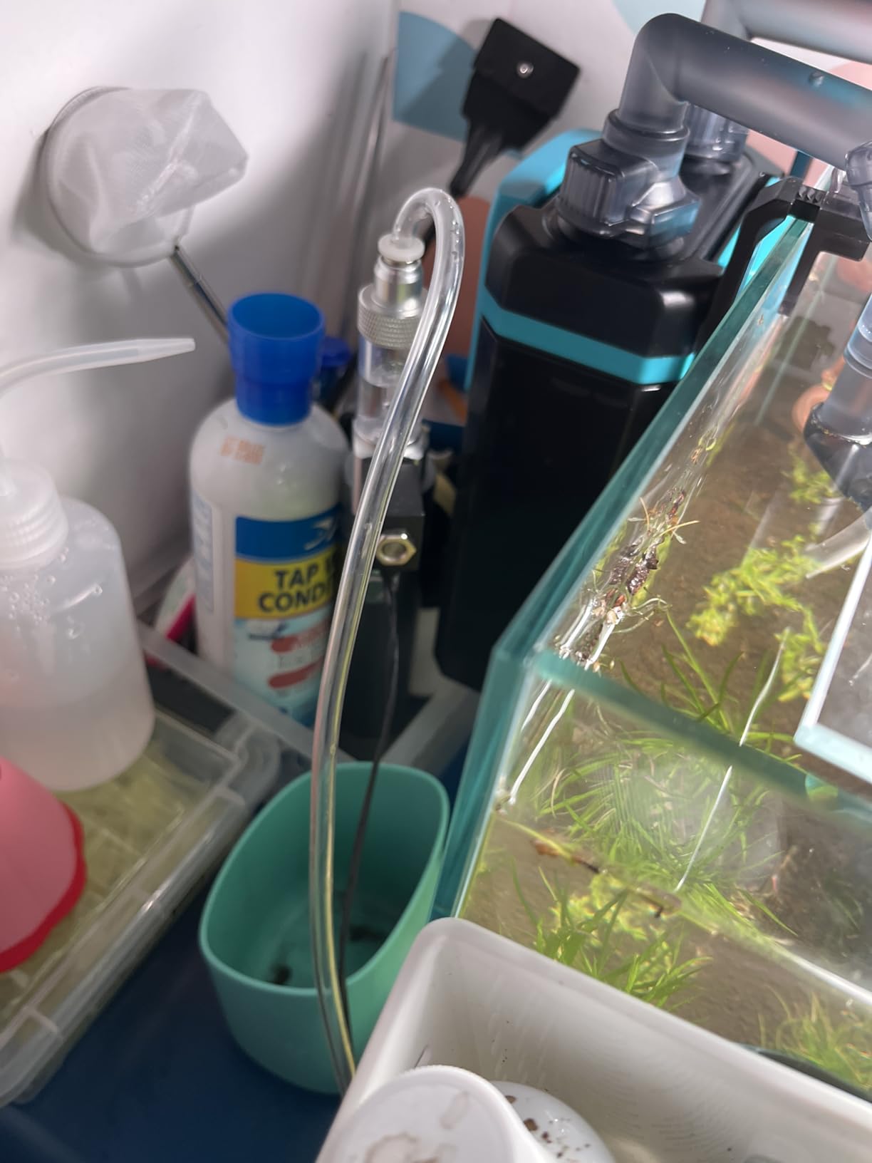 Desktop CO2 Regulator with 80g Disposable CO2 Cartridge with Solenoid Valve, Complete Aquarium CO2 System, Compatible with 5/8