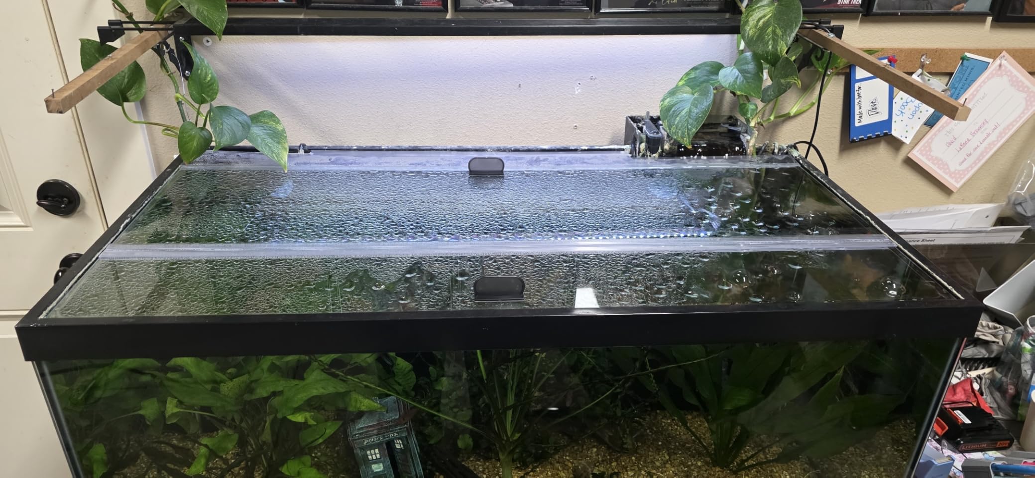 H2Pro Glass Canopy Aquarium Lid for Fresh & Saltwater Fish Tanks (A36GT for Aqueon 30 & 40 Breeder Aquariums) customer photo 1