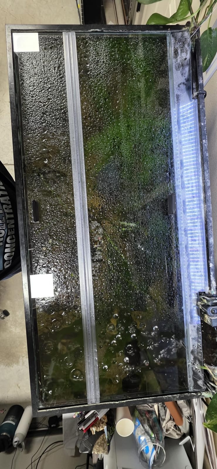 H2Pro Glass Canopy Aquarium Lid for Fresh & Saltwater Fish Tanks (A36GT for Aqueon 30 & 40 Breeder Aquariums) customer photo 2
