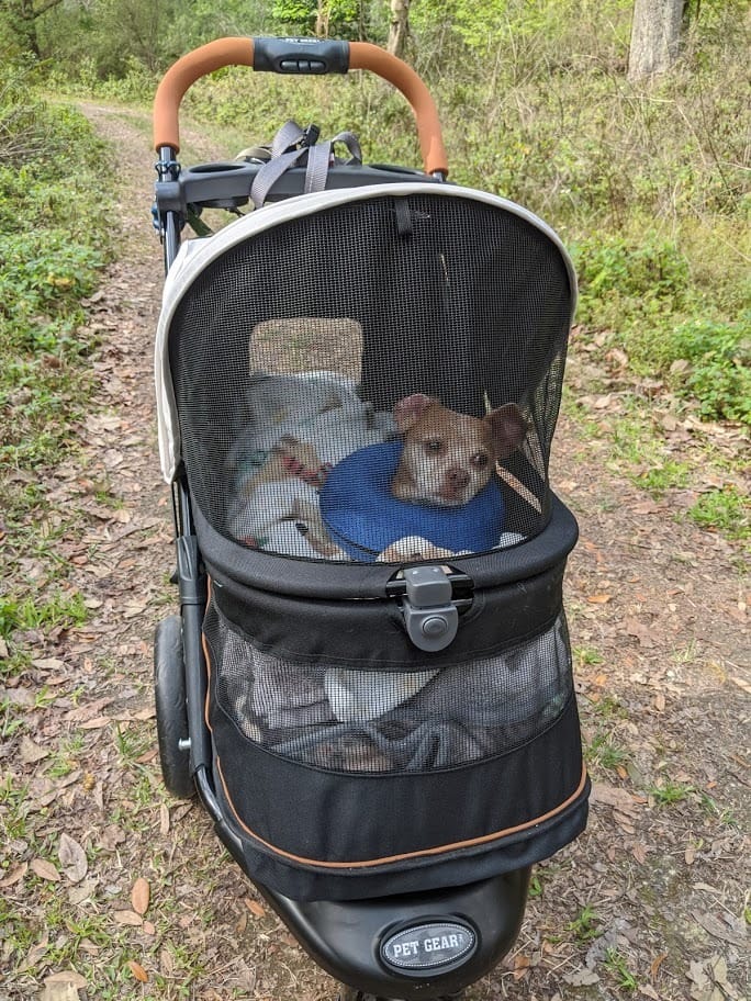 Pet Gear No-Zip AT3 Pet Stroller for Cats/Dogs, Sea Salt | Zipperless Entry, Easy One-Hand Fold, Jogging Tires, Removable Liner, Cup Holder + Storage Basket customer photo 2