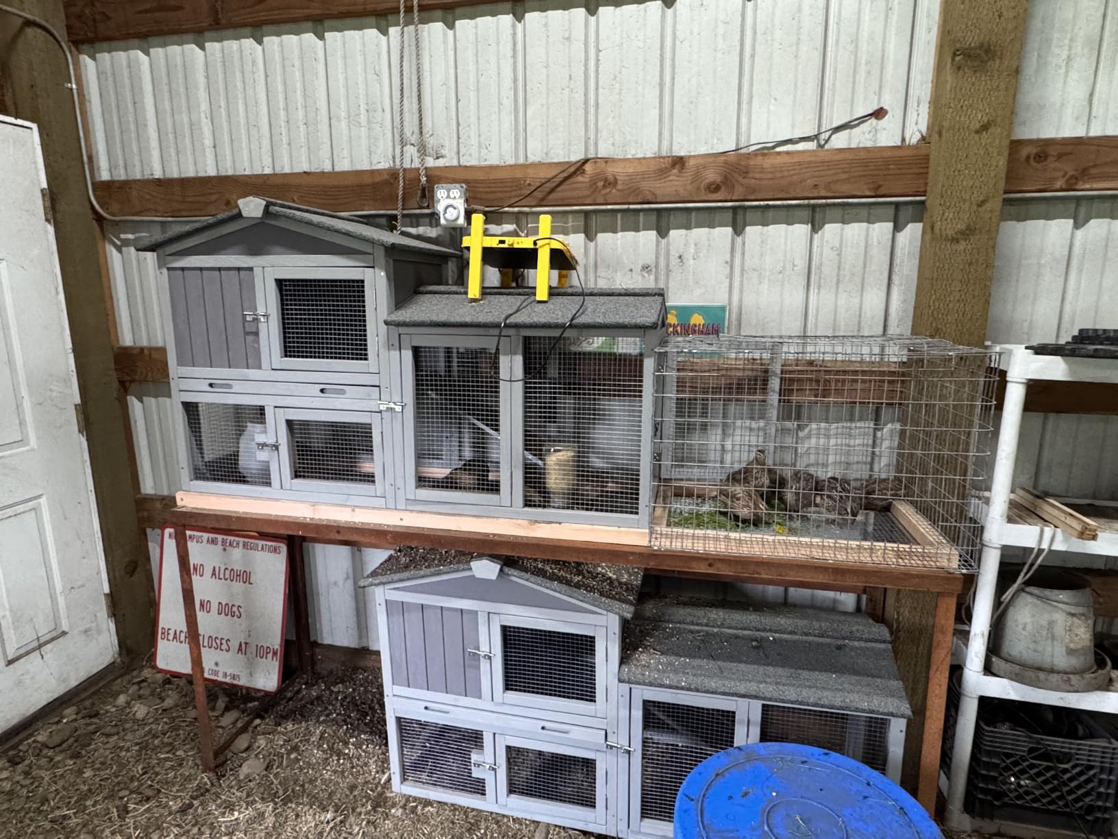 CluckRoots No Waste Quail Feeder, 3 x 1.5'' Ports for Adult Coturnix Quail | Outside-Hanging Metal Feeder for Wire Cages Hutch Pen to Save Space, No Spill No Mess for Japanese Jumbo Pharaoh Quail customer photo 2