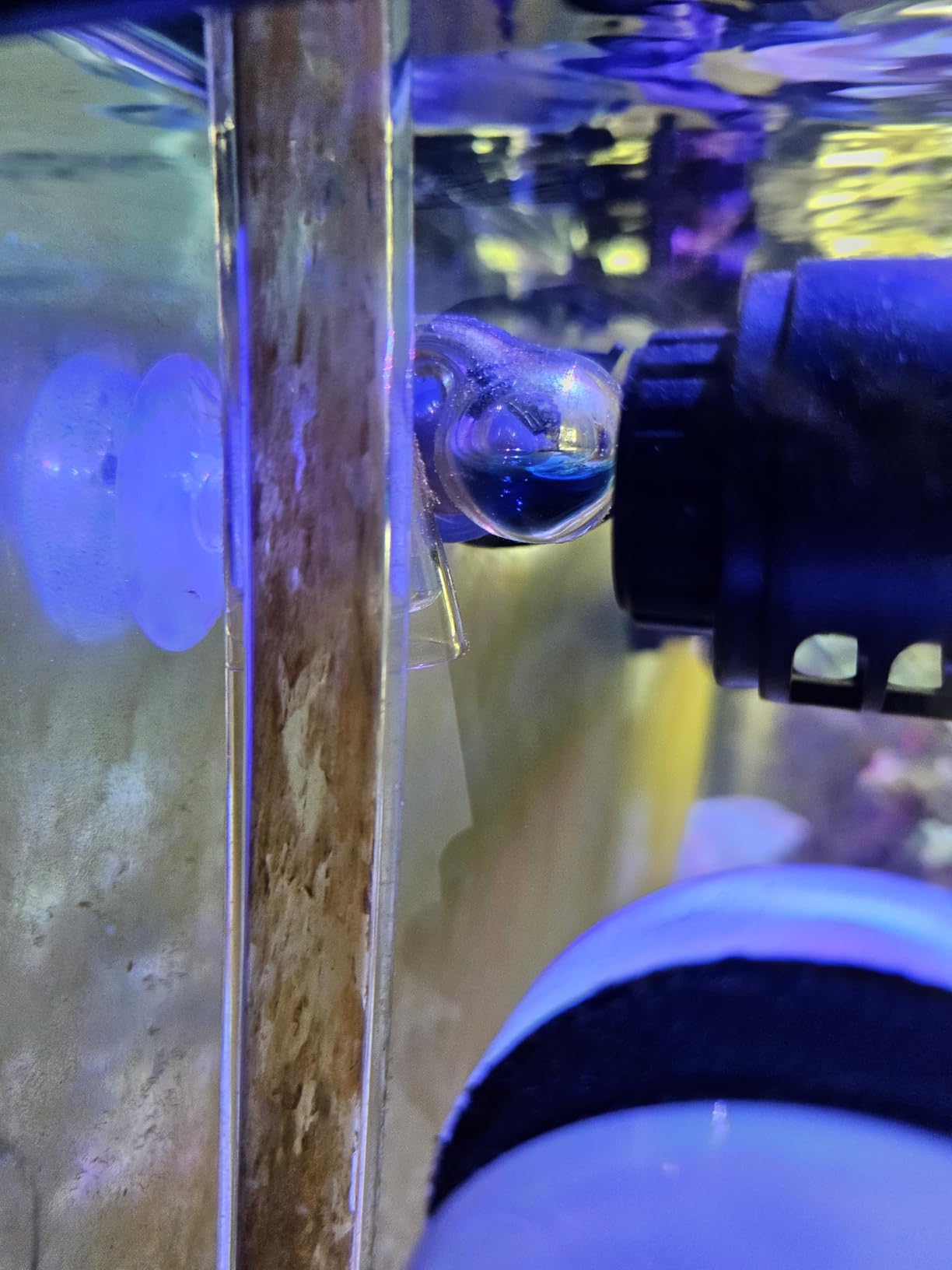 CO2 Glass Drop Checker Aquatic CO2 Test Monitor Kit for Fish Tank Planted Aquarium with Solution & Suction Cups customer photo 2