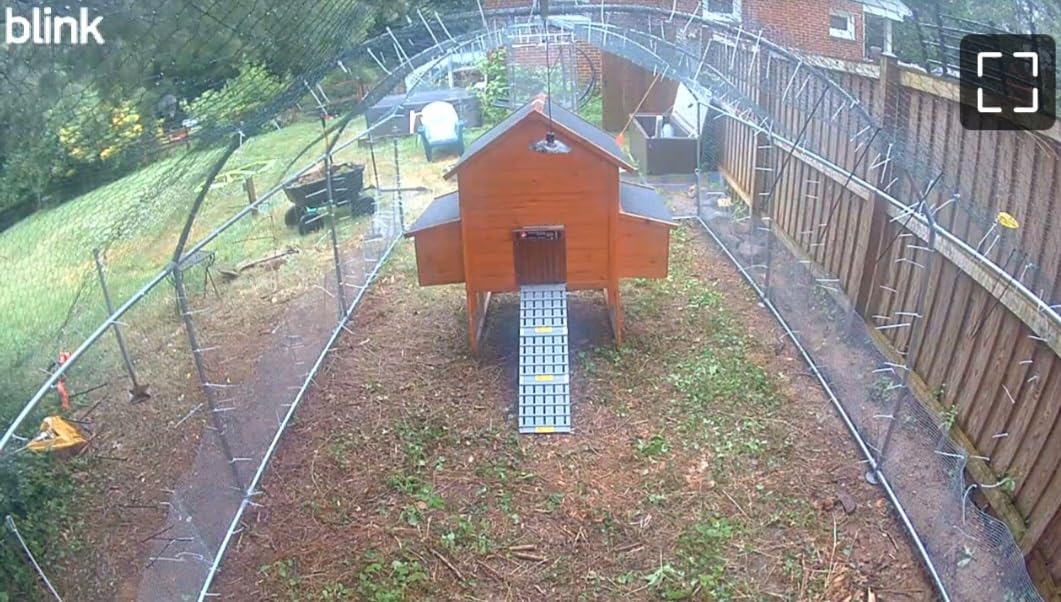 NIUXX Chicken Coop Ramp: Length Adjustable Waterproof & Non-Slip Ladder | Easy to Clean - Suitable for Poultry with Limited Mobility or Flightless Chickens customer photo 1
