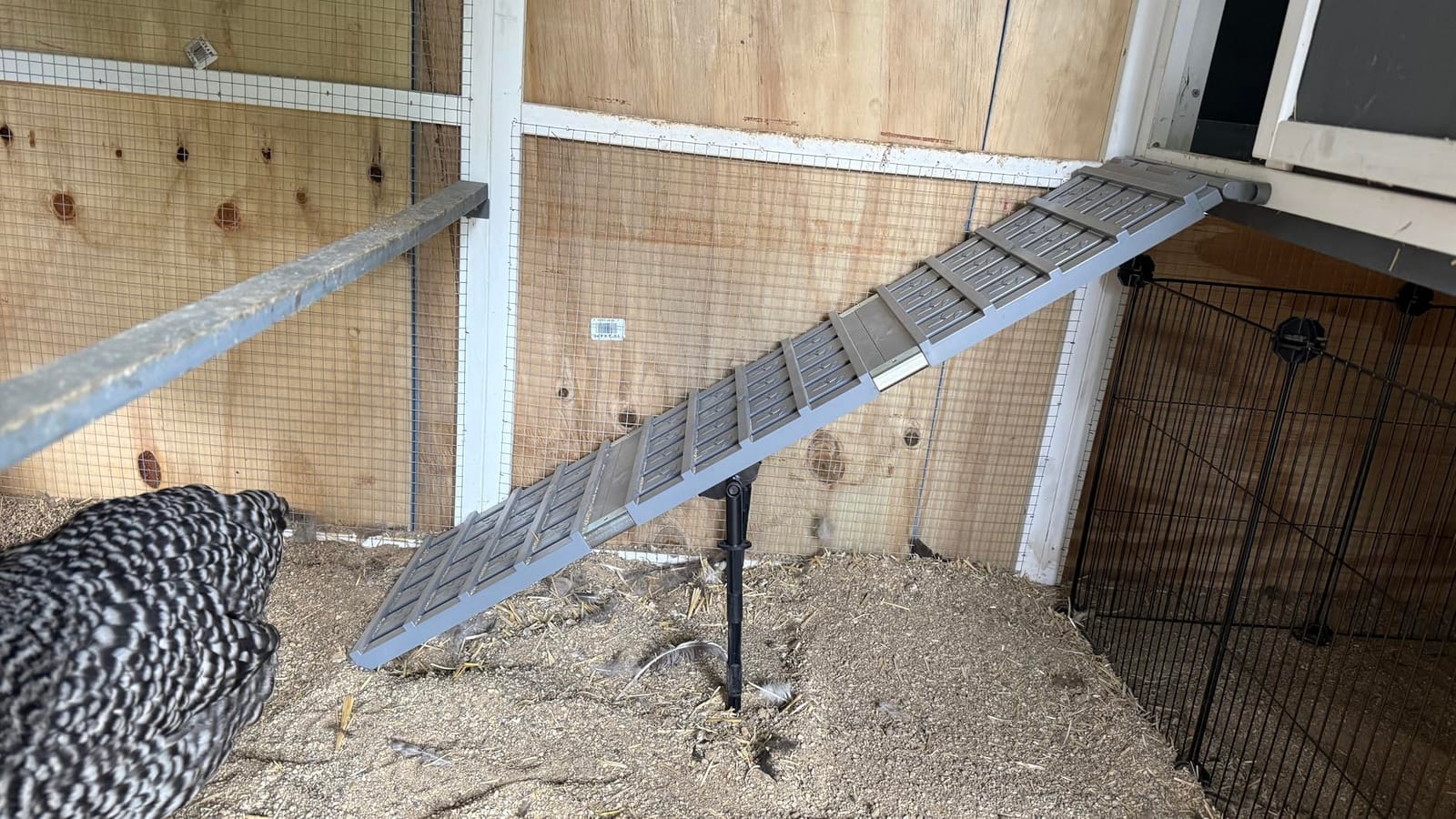 NIUXX Chicken Coop Ramp: Length Adjustable Waterproof & Non-Slip Ladder | Easy to Clean - Suitable for Poultry with Limited Mobility or Flightless Chickens customer photo 2