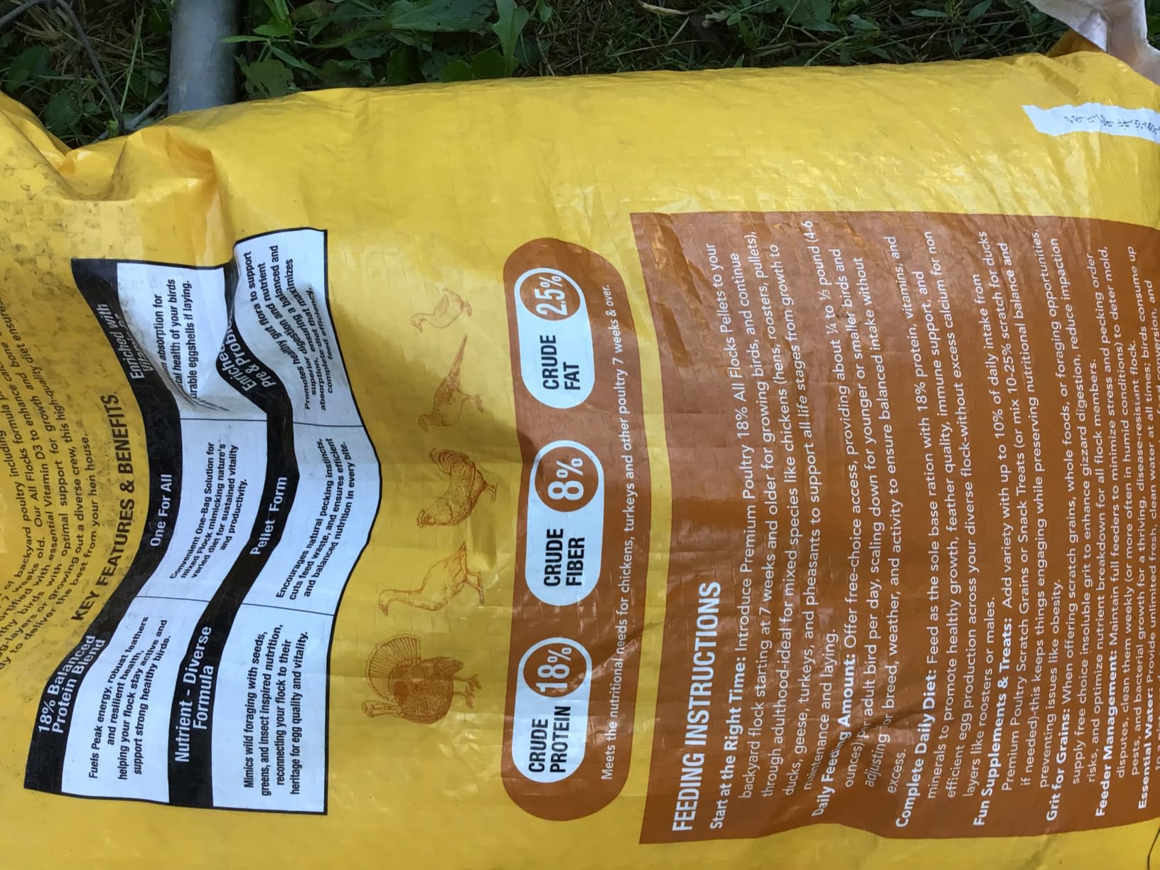All Flock Feed Pellets, 18% Protein, 40lb, Made in USA customer photo 1