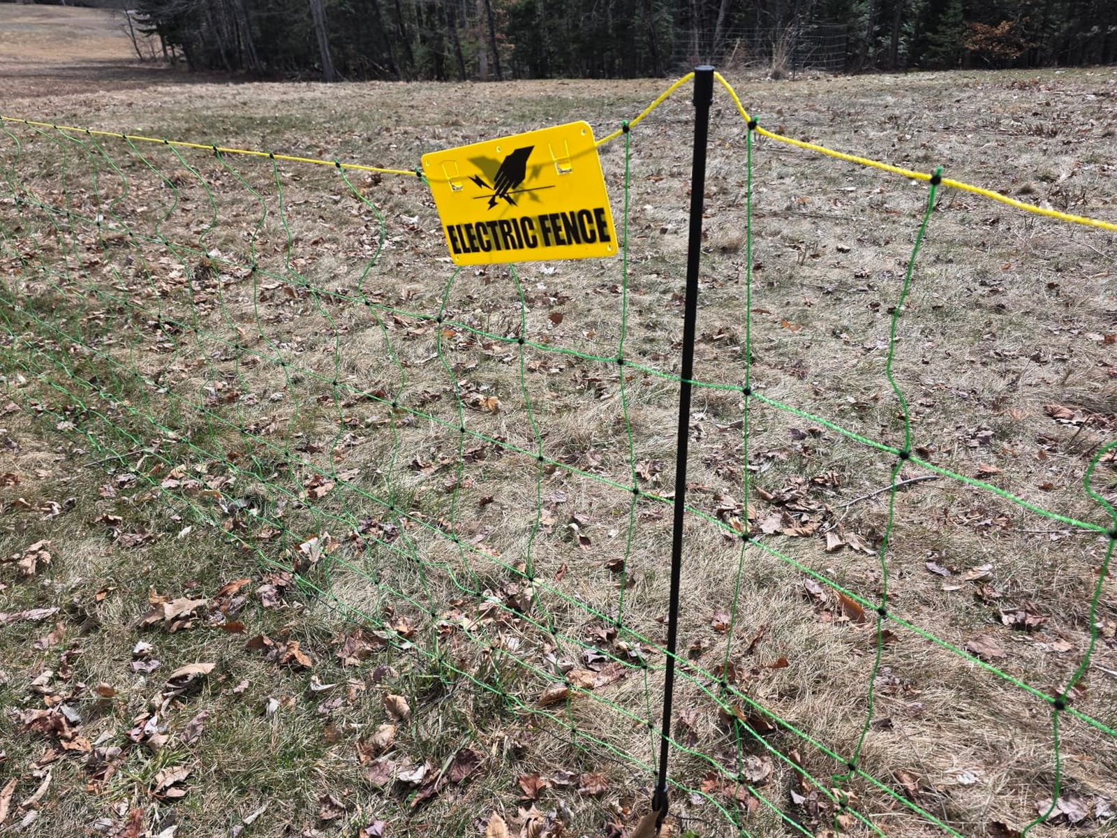 Electric Fence Netting, 49.6
