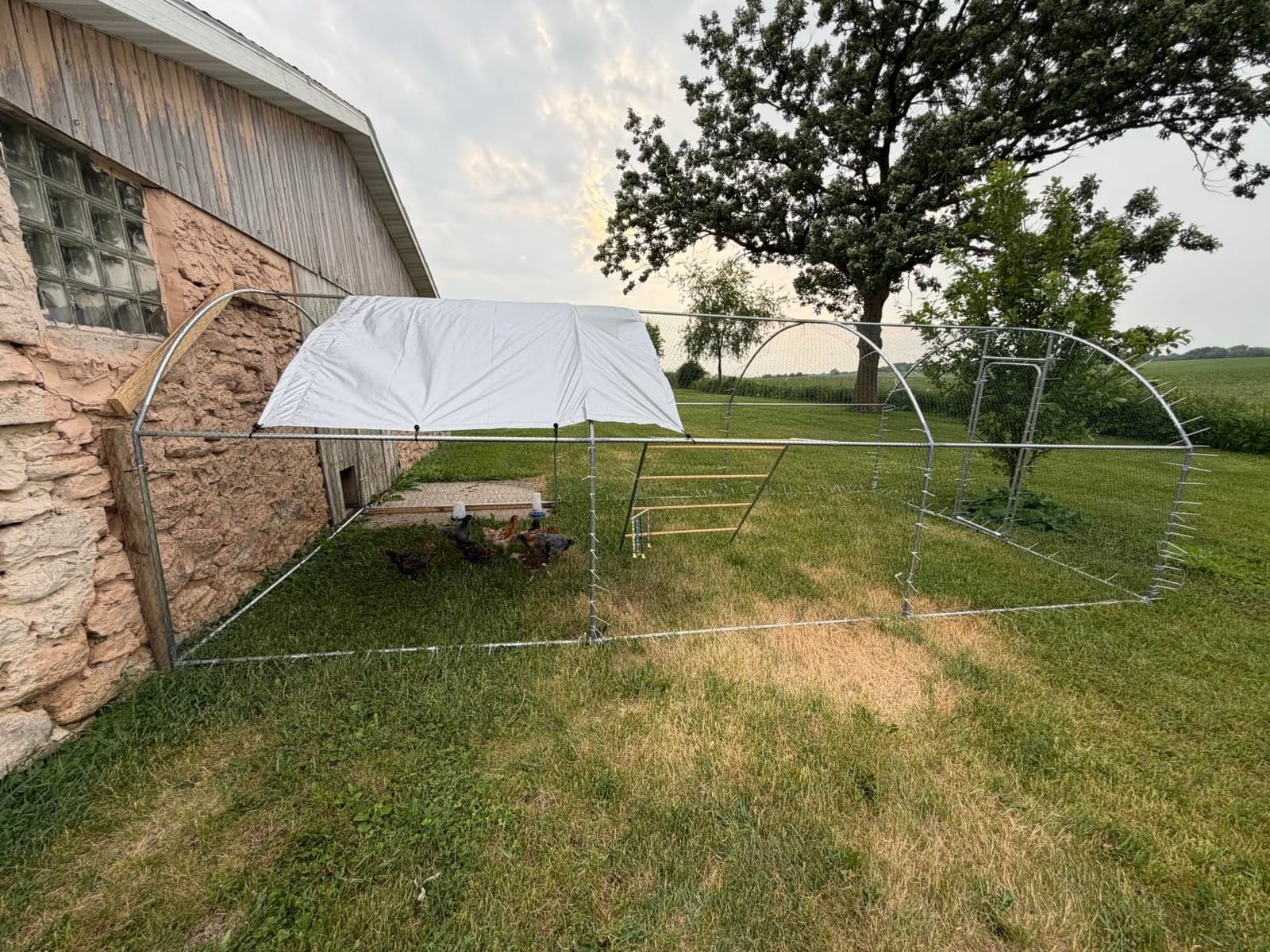19.7x9.7 FT Extra Large Metal Chicken Coop, Walk-in Poultry Run | Weatherproof Cover, Reinforced Metal Frame, Walk-in Chicken Run, Outdoor Poultry Cage for Hens Ducks Rabbits customer photo 2