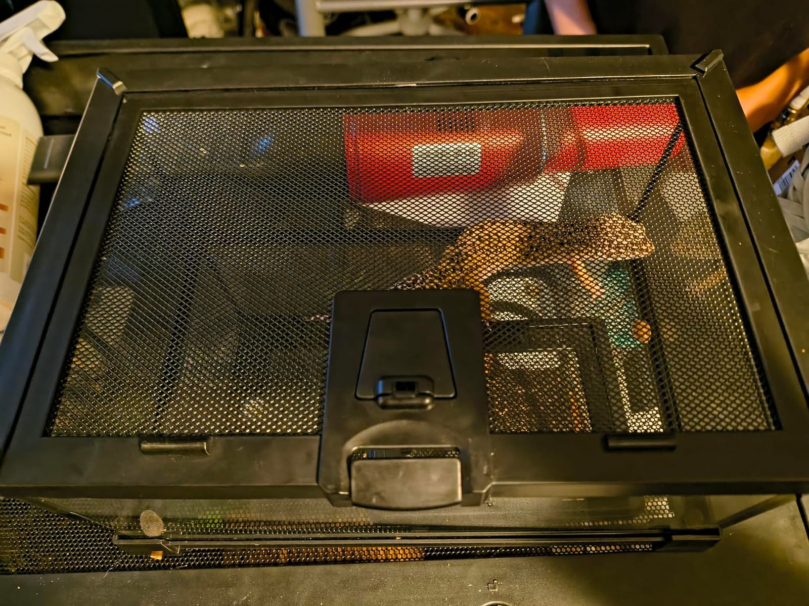 2.5 Gallon Fully Assembled Glass Reptile Enclosure, 12