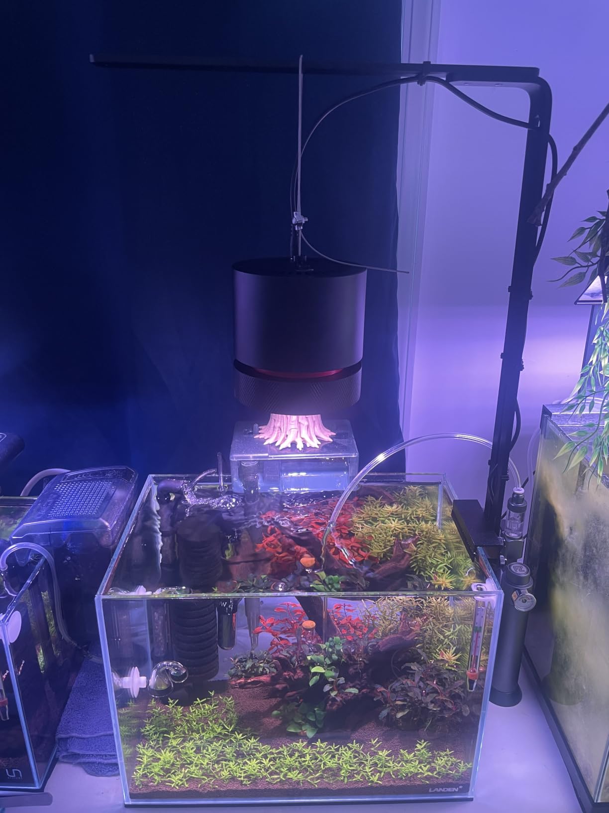 FZONE AXON 72W Aquarium Light WRGB Full Spectrum, APP Controlled LED Plant Light customer photo 1