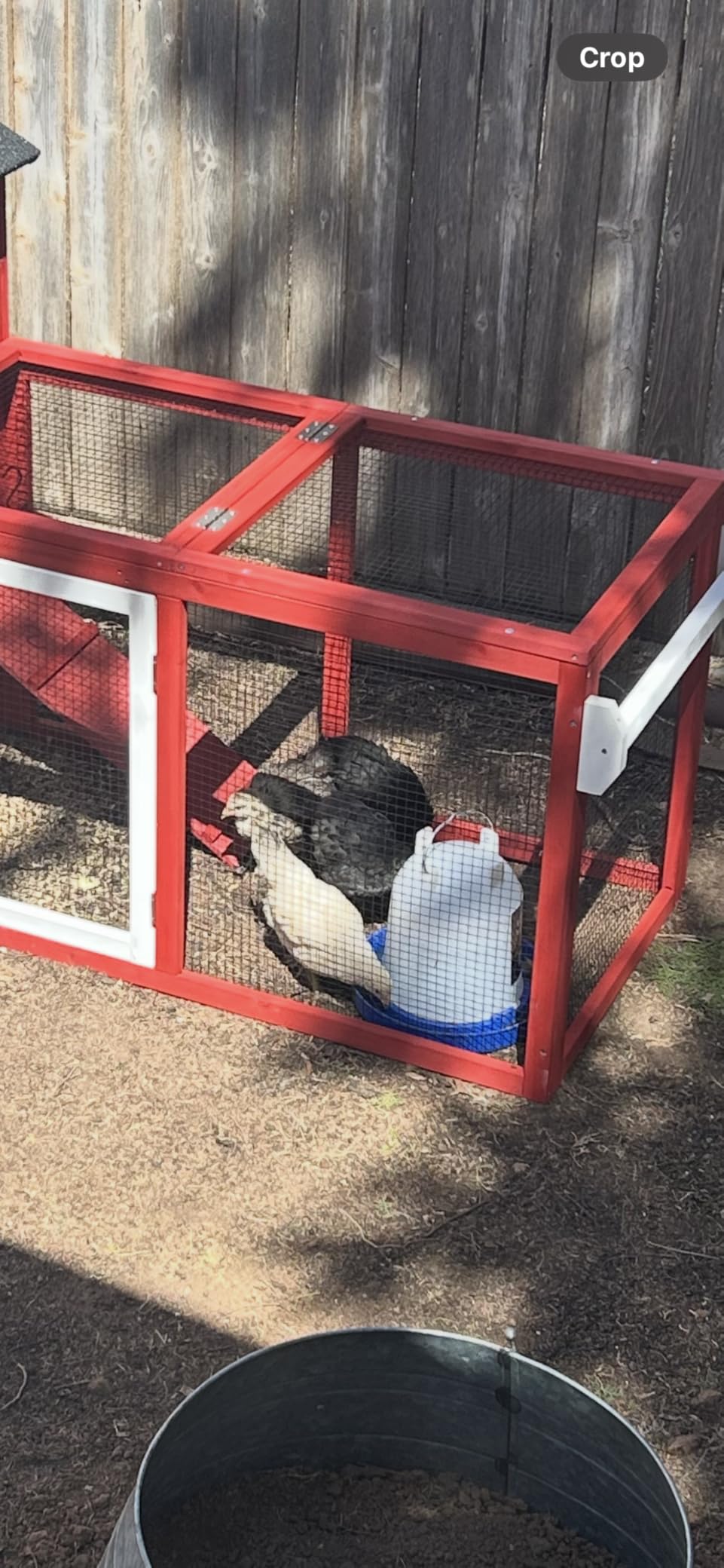 Large Chicken Coop with Run for 6-8 Chickens, Mobile Chicken Tractor with 8.1