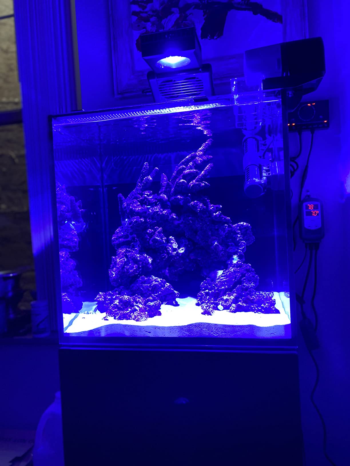 Fritz Complete - Concentrated Water Conditioner/Tap Water Dechlorinator, Instantly Detoxifies Chlorine, Chloramines, Heavy Metals, Ammonia, Nitrite/Nitrates, for Fresh and Saltwater (64 oz) customer photo 1