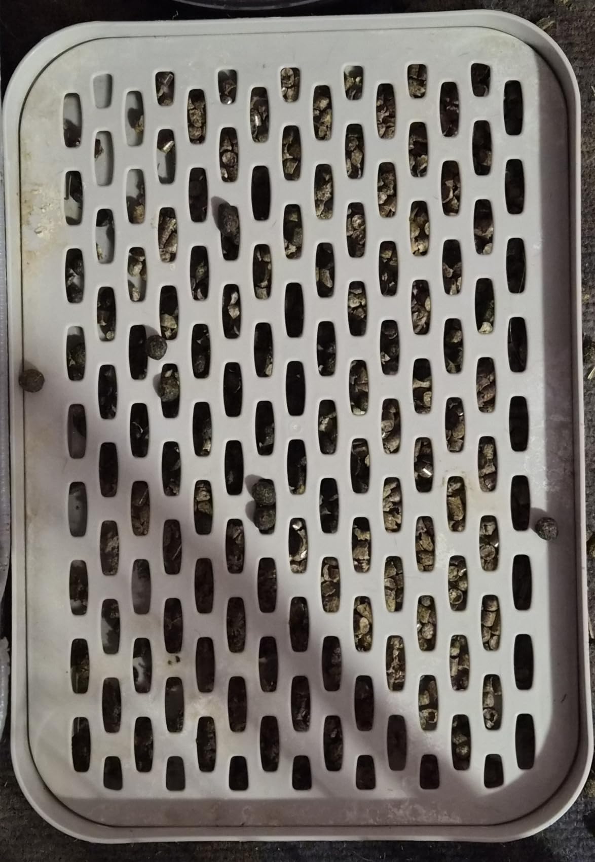 kathson Rabbit Litter Box for Cage Corner with Grid Holes,Bunny Potty Trainer Tray Guinea Pig Litter Pan, Small Animal Toilet for Ferret Hedgehog Chinchilla customer photo 1