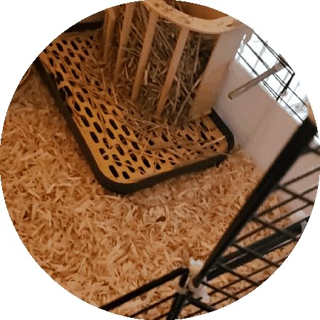 kathson Rabbit Litter Box for Cage Corner with Grid Holes,Bunny Potty Trainer Tray Guinea Pig Litter Pan, Small Animal Toilet for Ferret Hedgehog Chinchilla customer photo 2