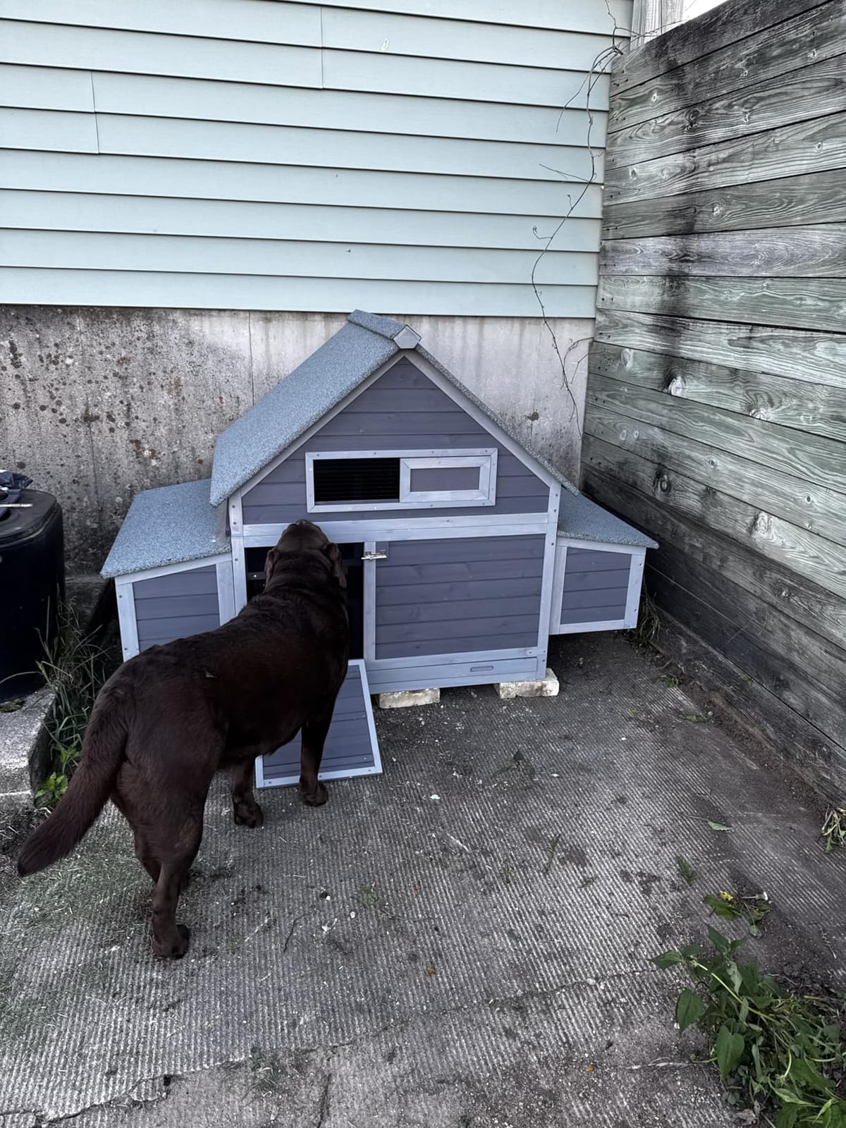 GUTINNEEN Extra Large Walk-in Chicken Coop with Run Waterproof UV Resistant Chicken House with Large Nesting Box 113.5