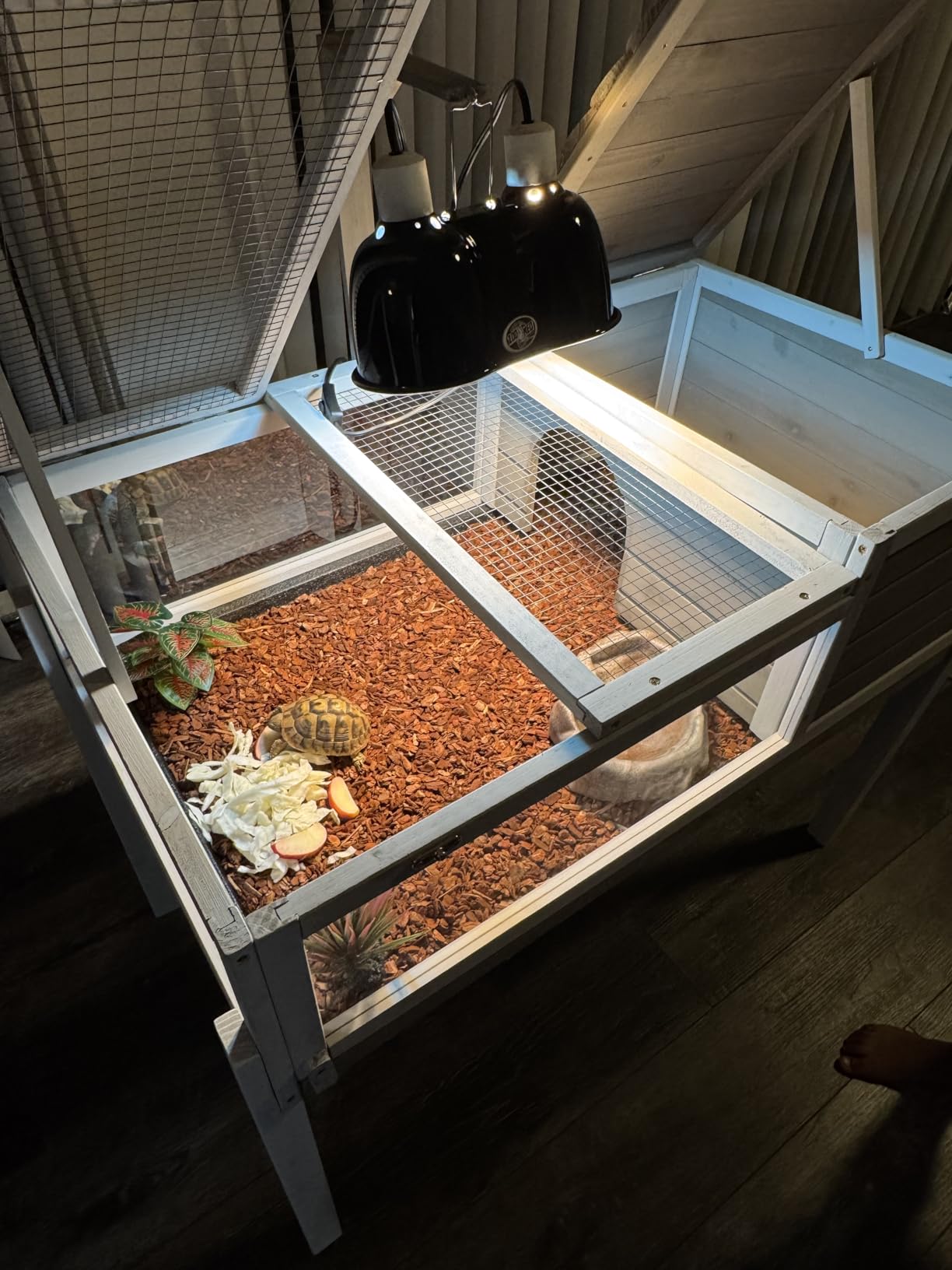 Large Tortoise Habitat with Adjustable Lamp Stand & Storage Shelf, Wooden Tortoise Enclosure with Viewing Window, Pull-Out Tray, 2-Room Reptile Turtle Enclosure House Indoor & Outdoor, Grey customer photo 2