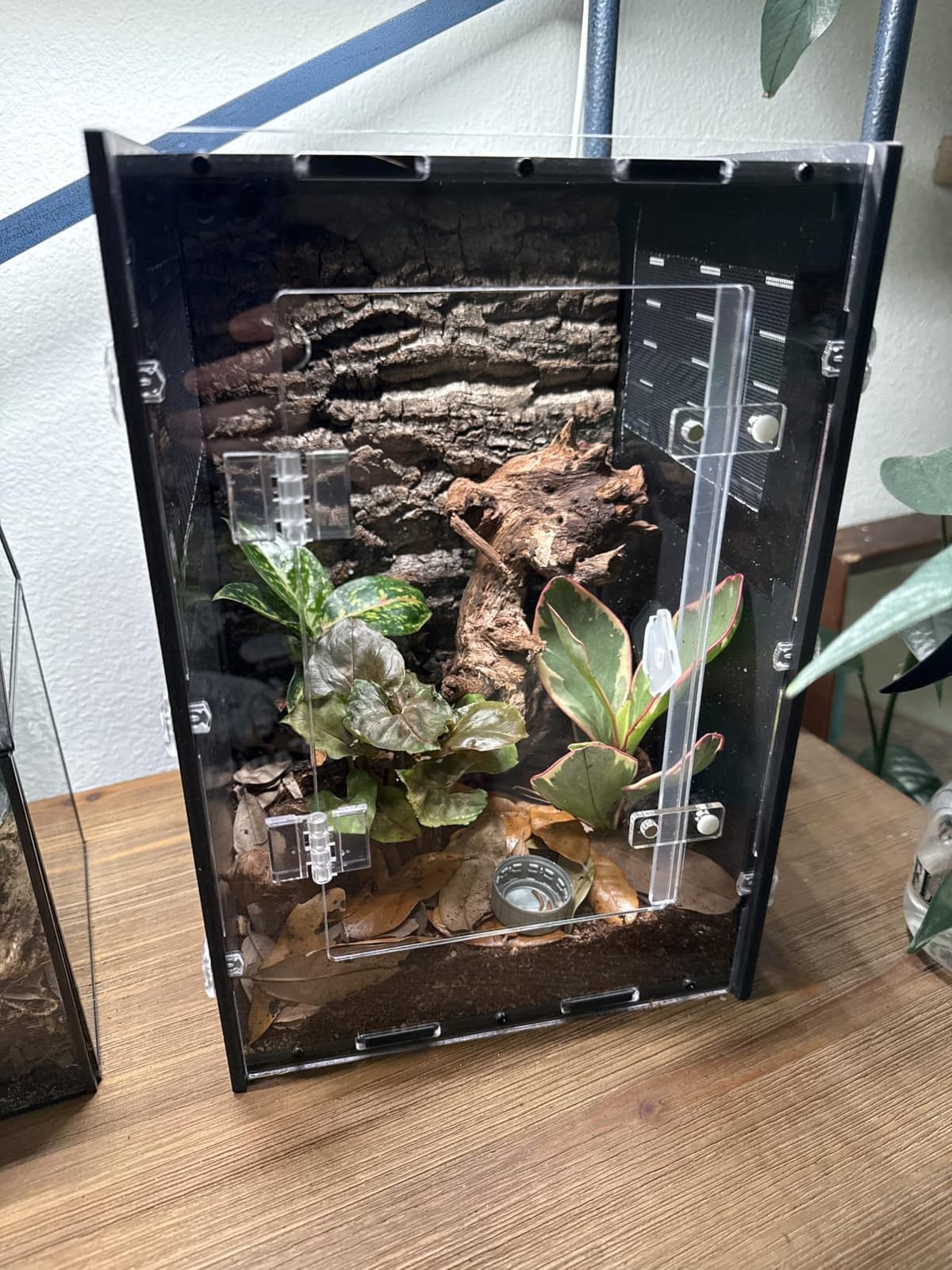 16x16x24 Black PVC Reptile Tank for Adult Reptiles, Front Opening customer photo 1