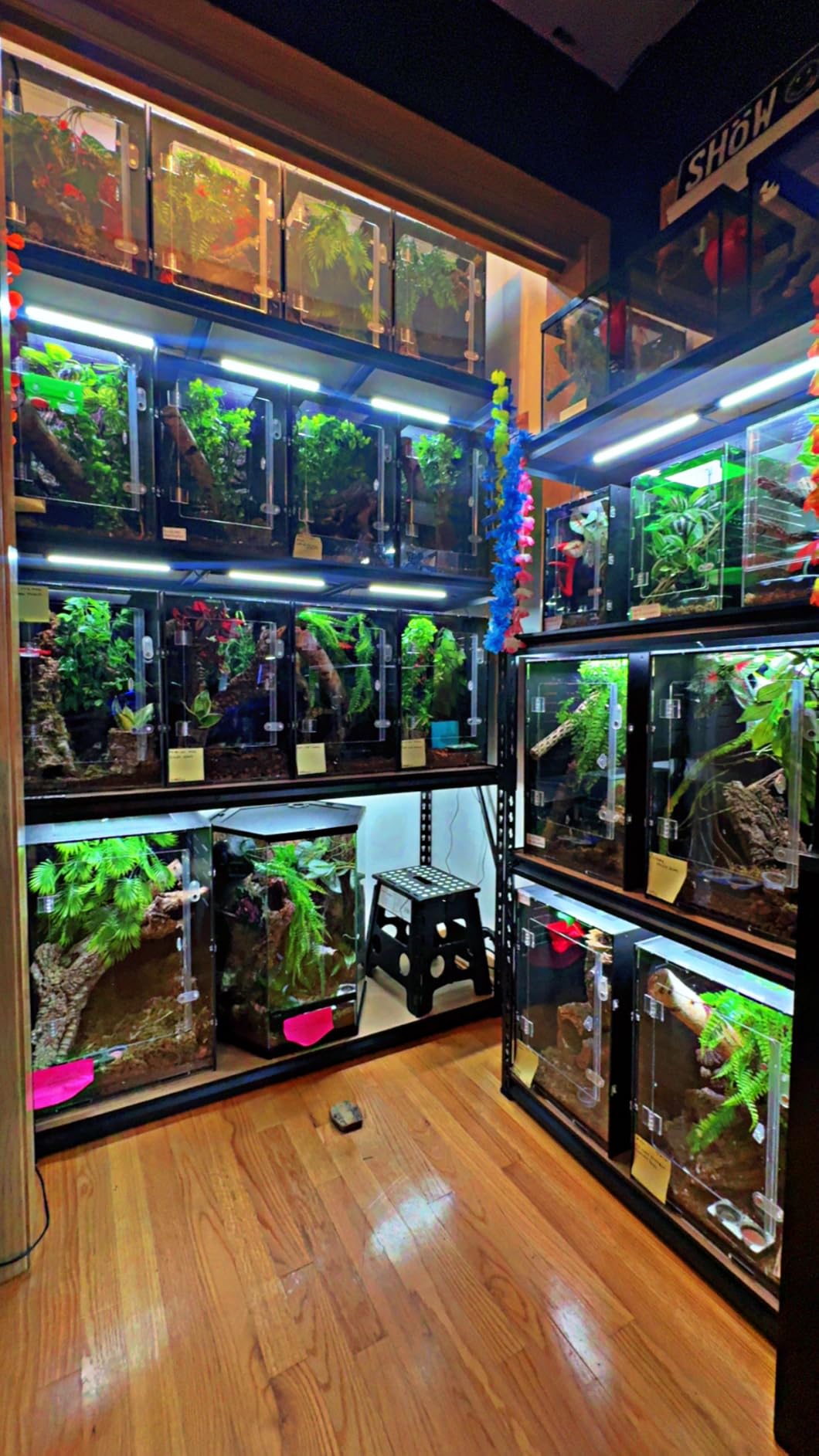 16x16x24 Black PVC Reptile Tank for Adult Reptiles, Front Opening customer photo 2
