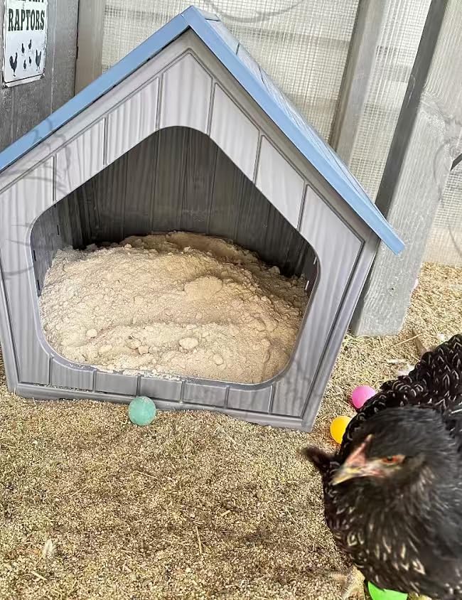 Vixzen Outdoor Indoor Chicken Coop, Grey | PP Resin Weatherproof Poultry House, Air Vents, Easy Assembly, Cozy Poultry Shelter for Patio, Porch, Backyard customer photo 1