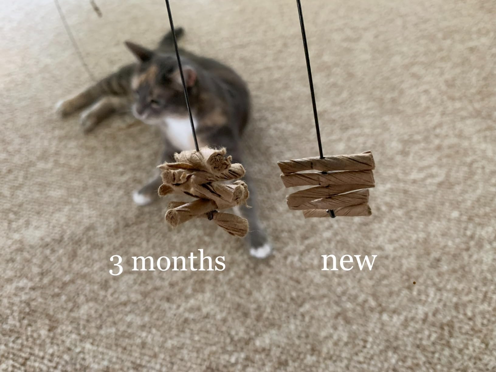 Cat Dancer Products 101 Interactive Cat Toy, Brown customer photo 1