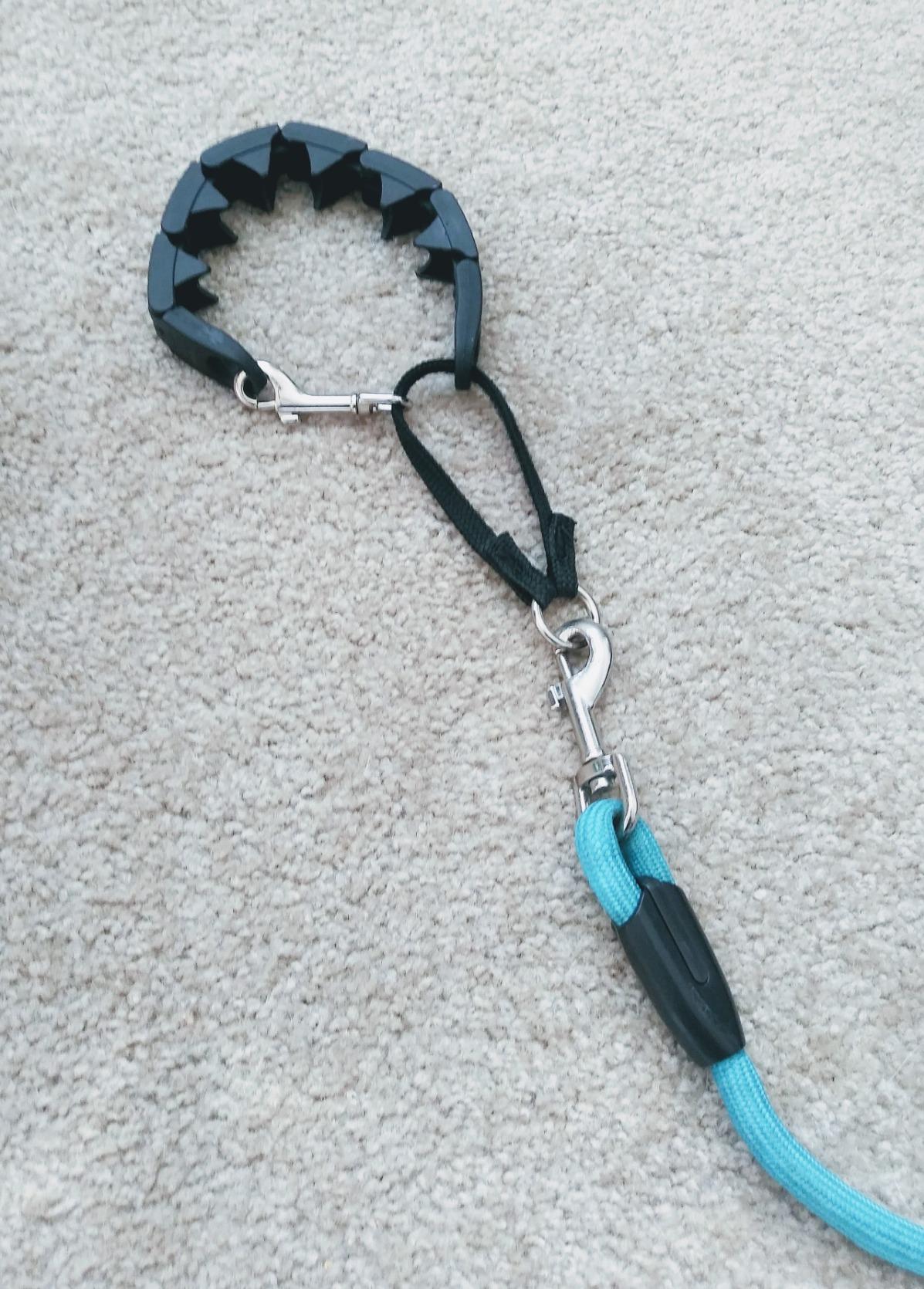Starmark Pro-Training Dog Collar Large customer photo 1