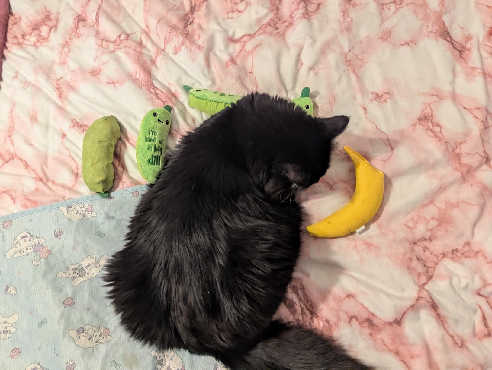 Yeowww! Catnip Chi-CAT-a Banana Toy for Cats - 7 Inches - Durable Cotton Twill - Made in the USA - Stuffed with Organically Grown Catnip customer photo 2