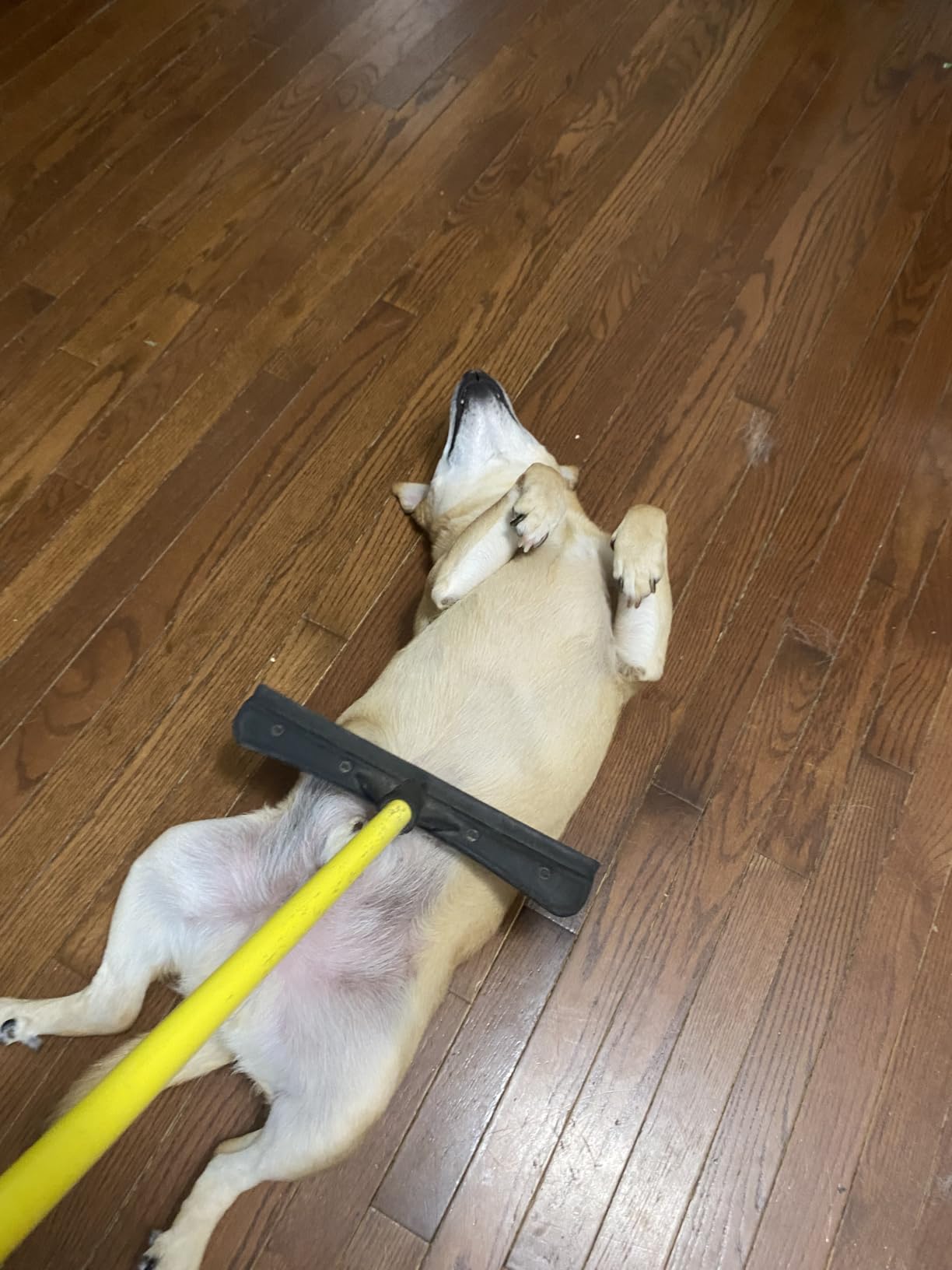 FURemover Pet Hair Removal Rubber Broom, 58