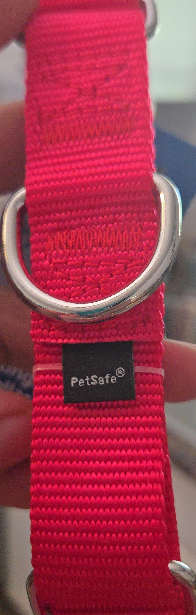 PetSafe Martingale Dog Collar, Red, 1 in, Medium customer photo 1