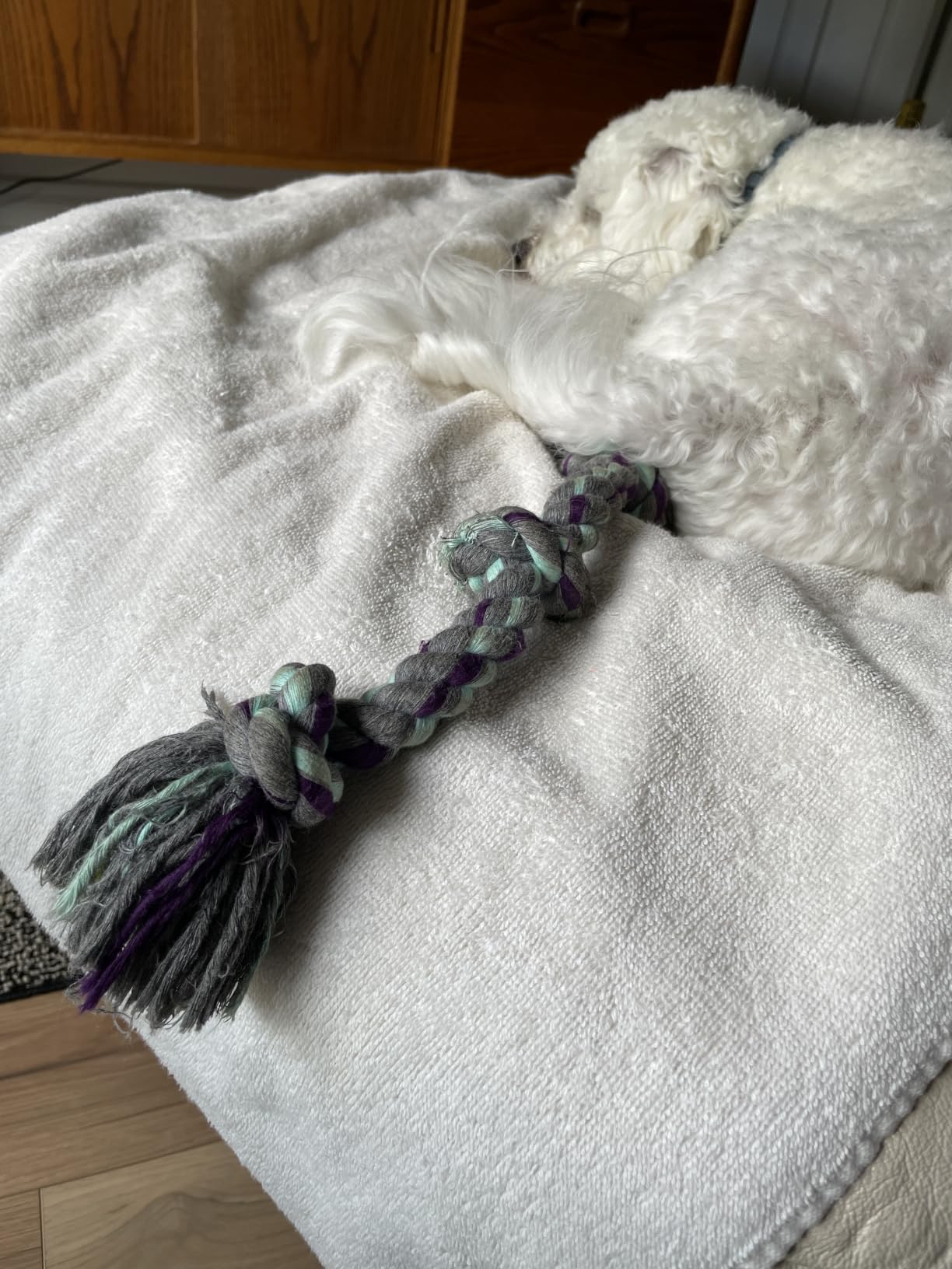 Mammoth Flossy Chews Color Rope Tug – Premium Cotton-Poly Tug Toy for Dogs – Interactive Rope– Dog Chew Toy, Assorted colors customer photo 1